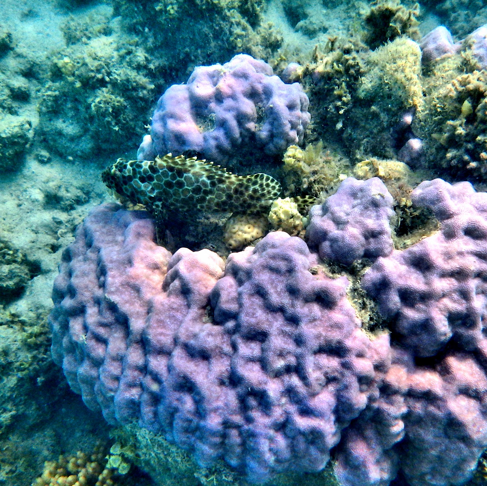 Please Take My Picture