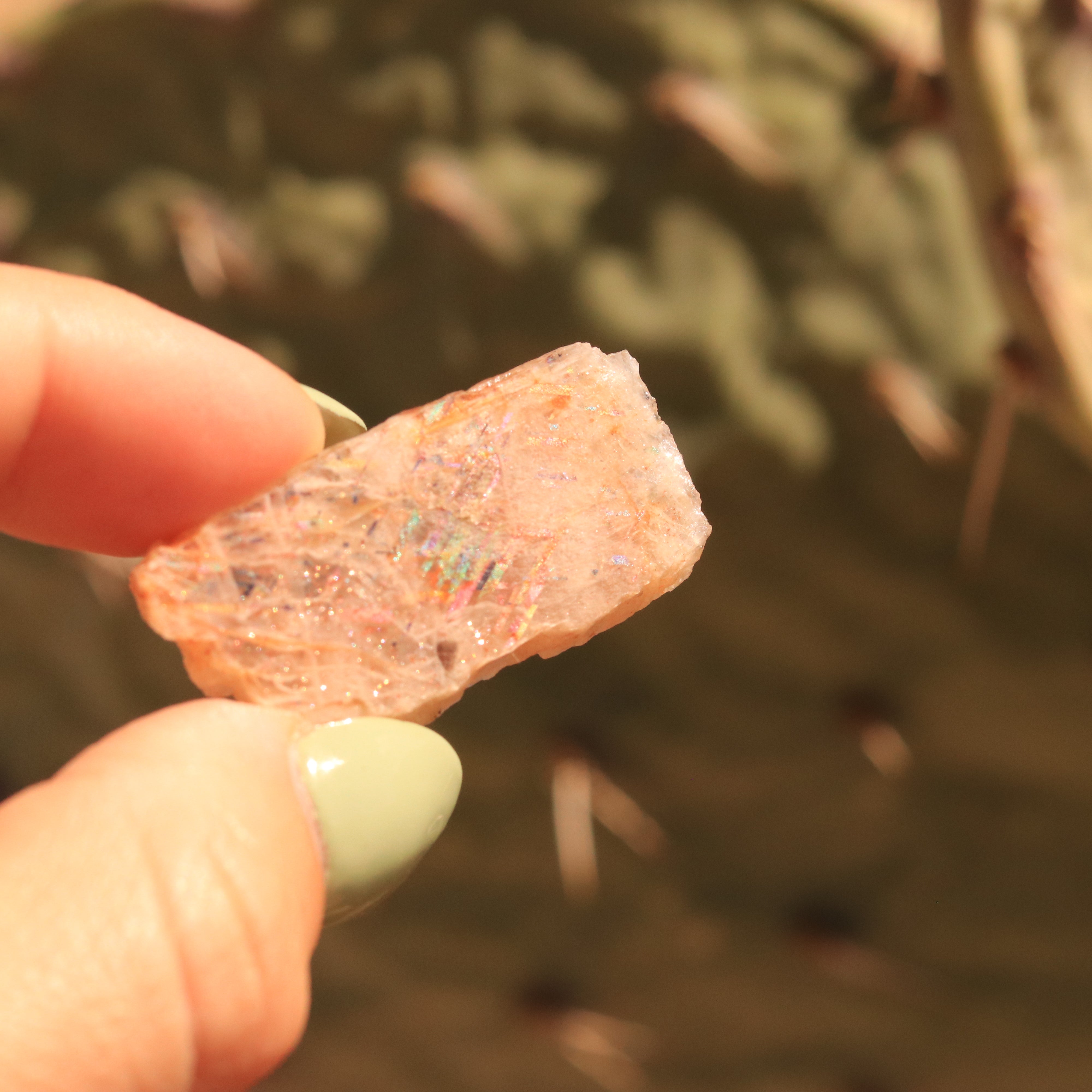 Rainbow Lattice Sunstone for Full Body Attunement