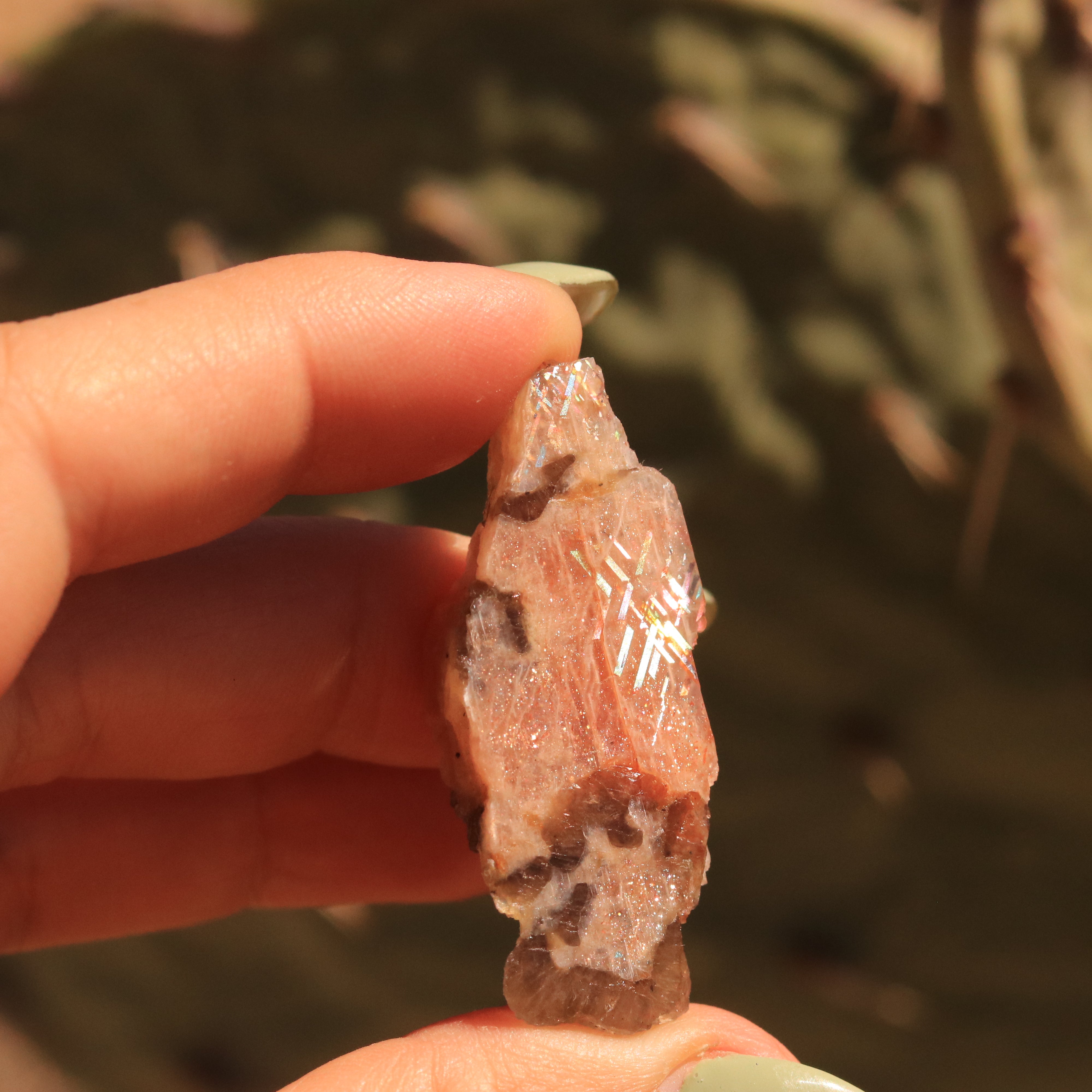 Rainbow Lattice Sunstone - 8.2 CT Gem from Harts Range Australia