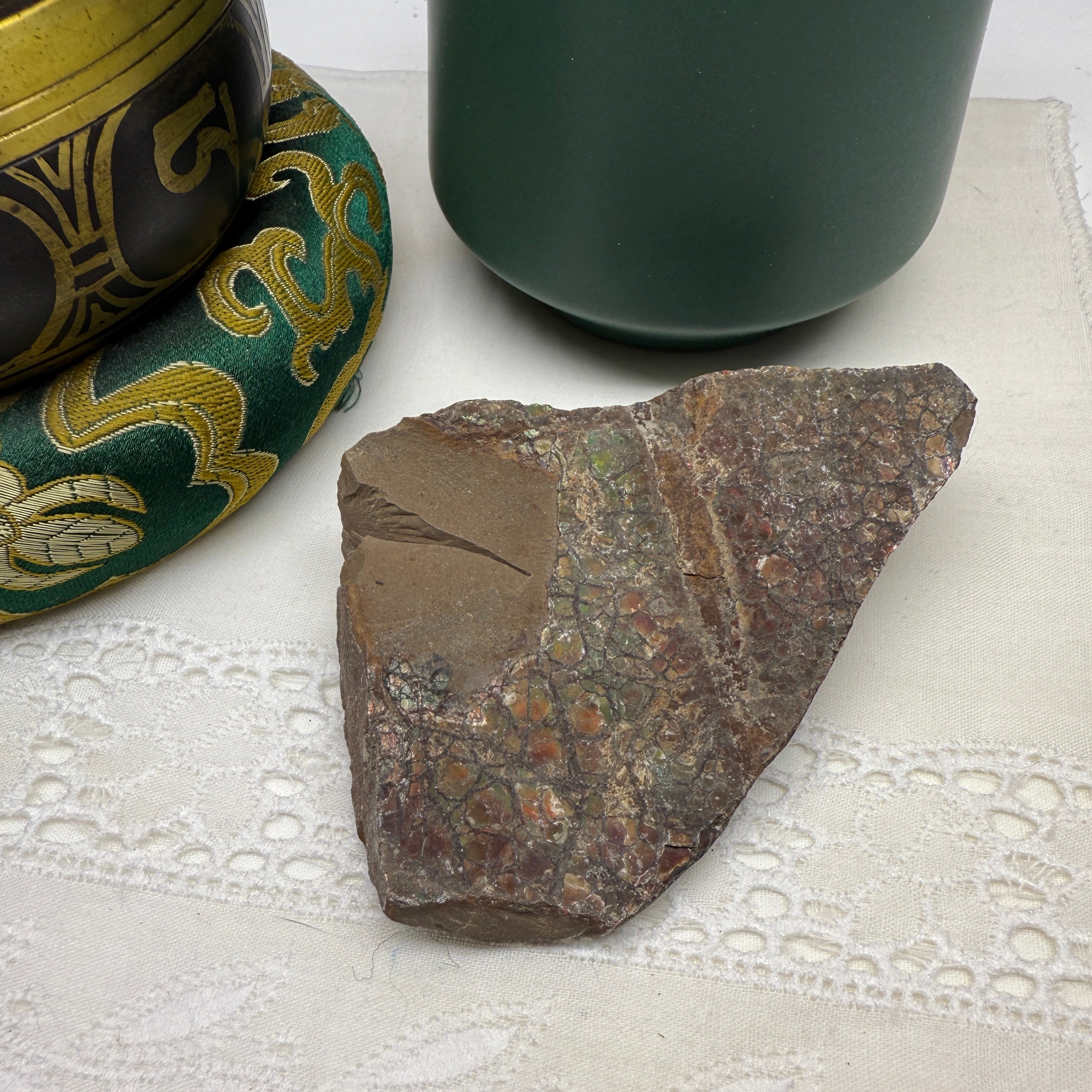 Ammolite Fossil Specimen from Alberta