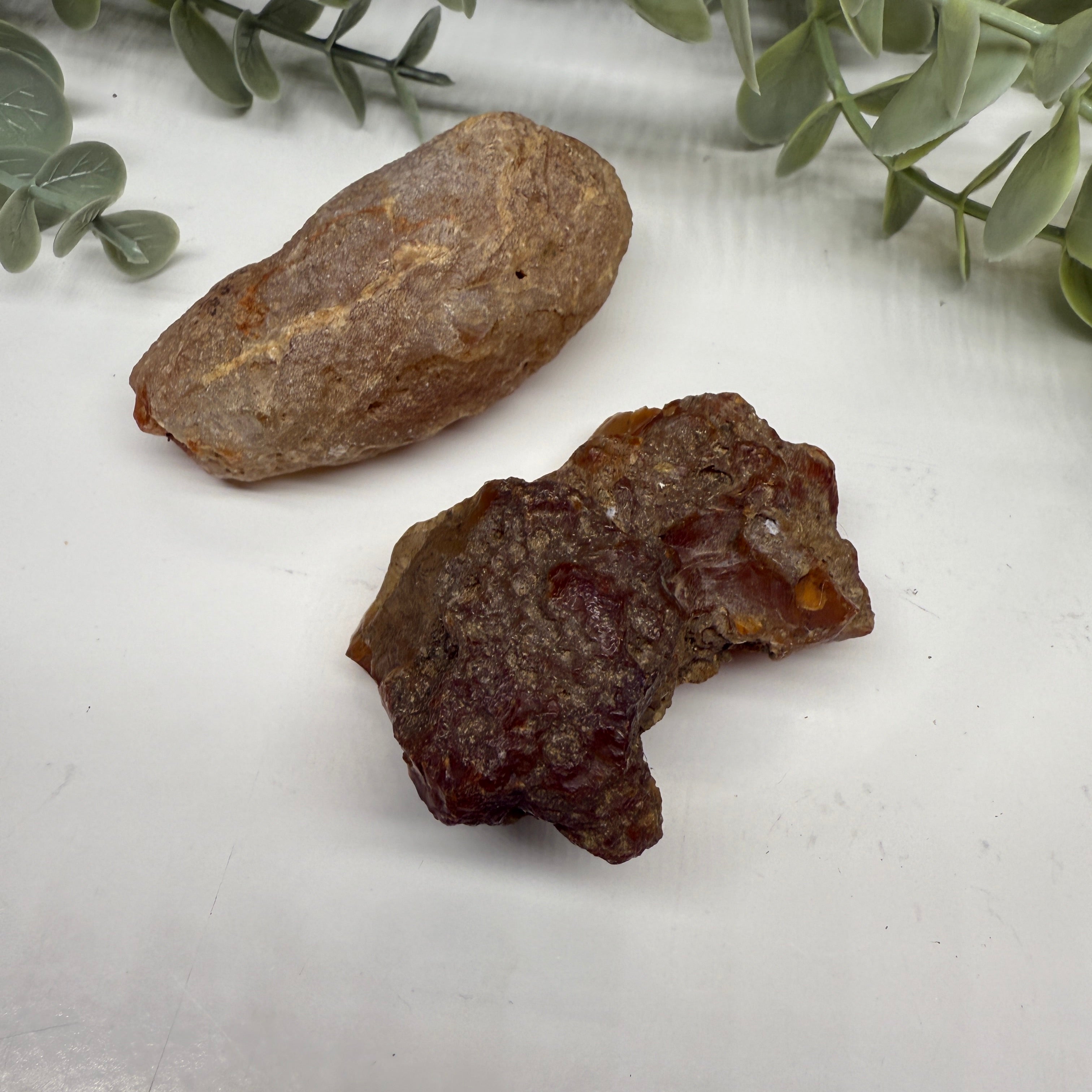 Set of Two Raw Hand Collected Carnelian Agate from Washington State, USA