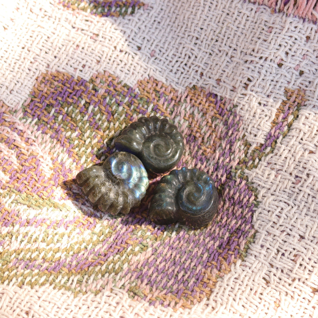 Magical and Cute Flashy Labradorite Shell Carving - Earth Family Crystals