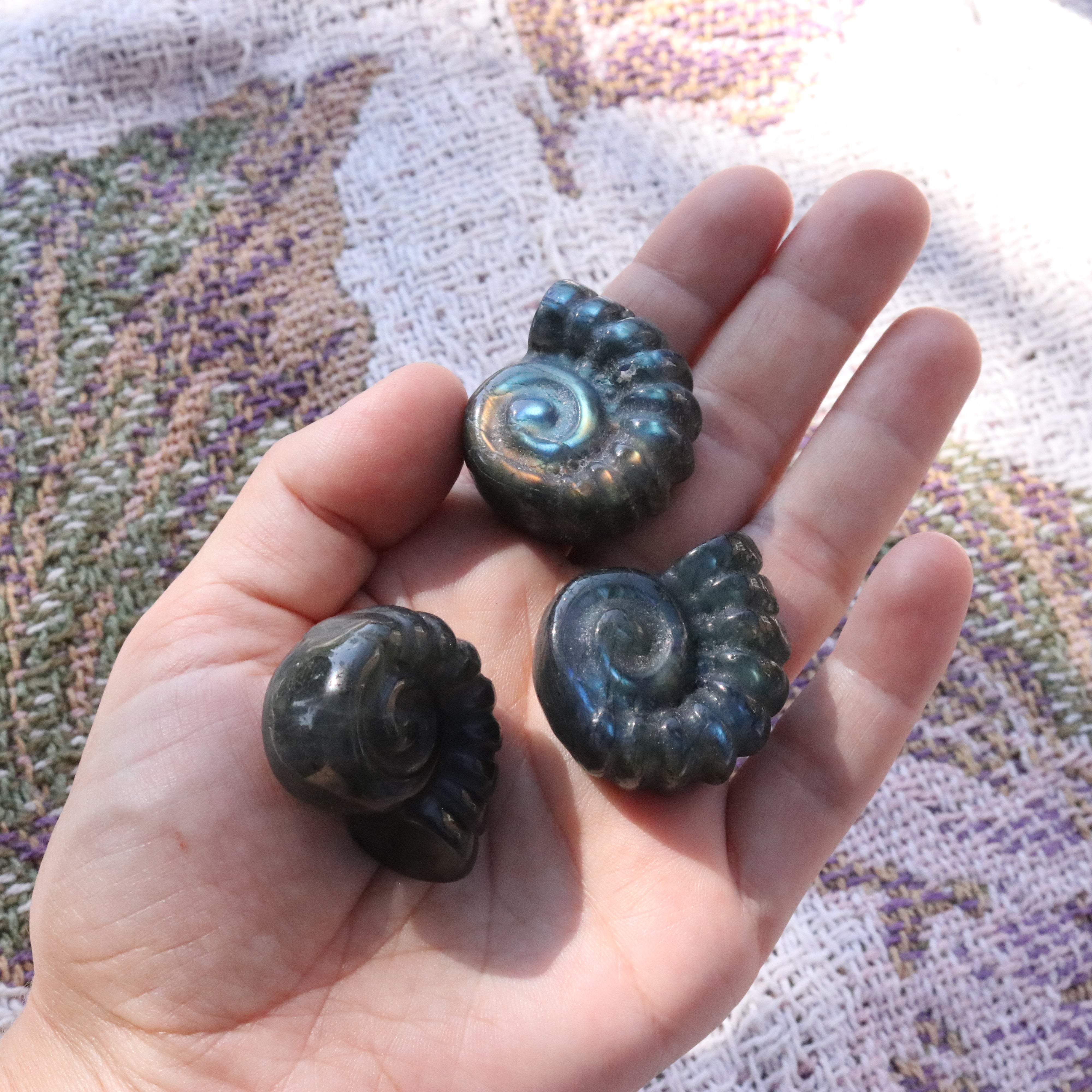 Magical and Cute Flashy Labradorite Shell Carving - Earth Family Crystals