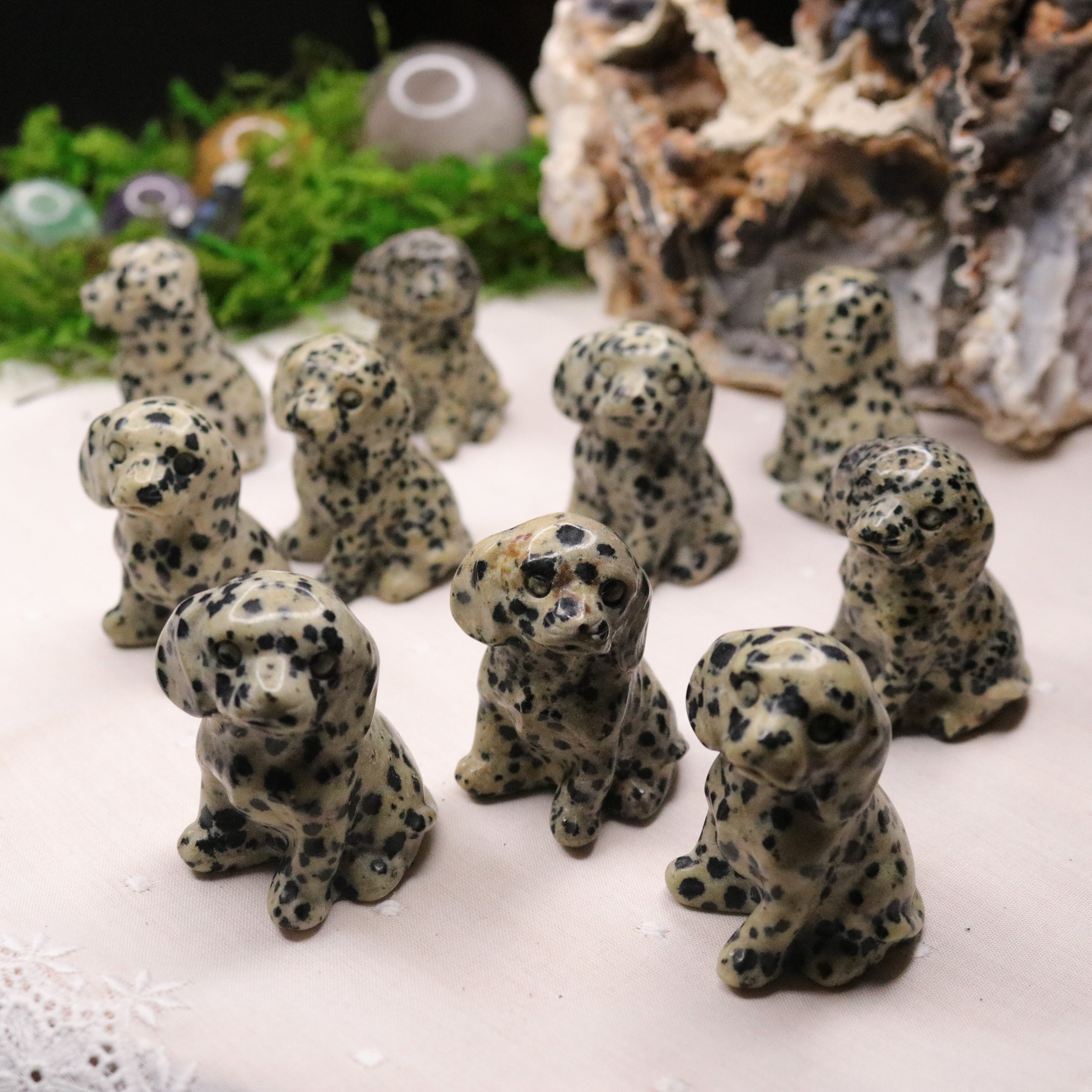 Dalmatian Jasper ~ Dalmatian Dog Carving ~ Companion Crystal for Playful Spirit - Earth Family Crystals