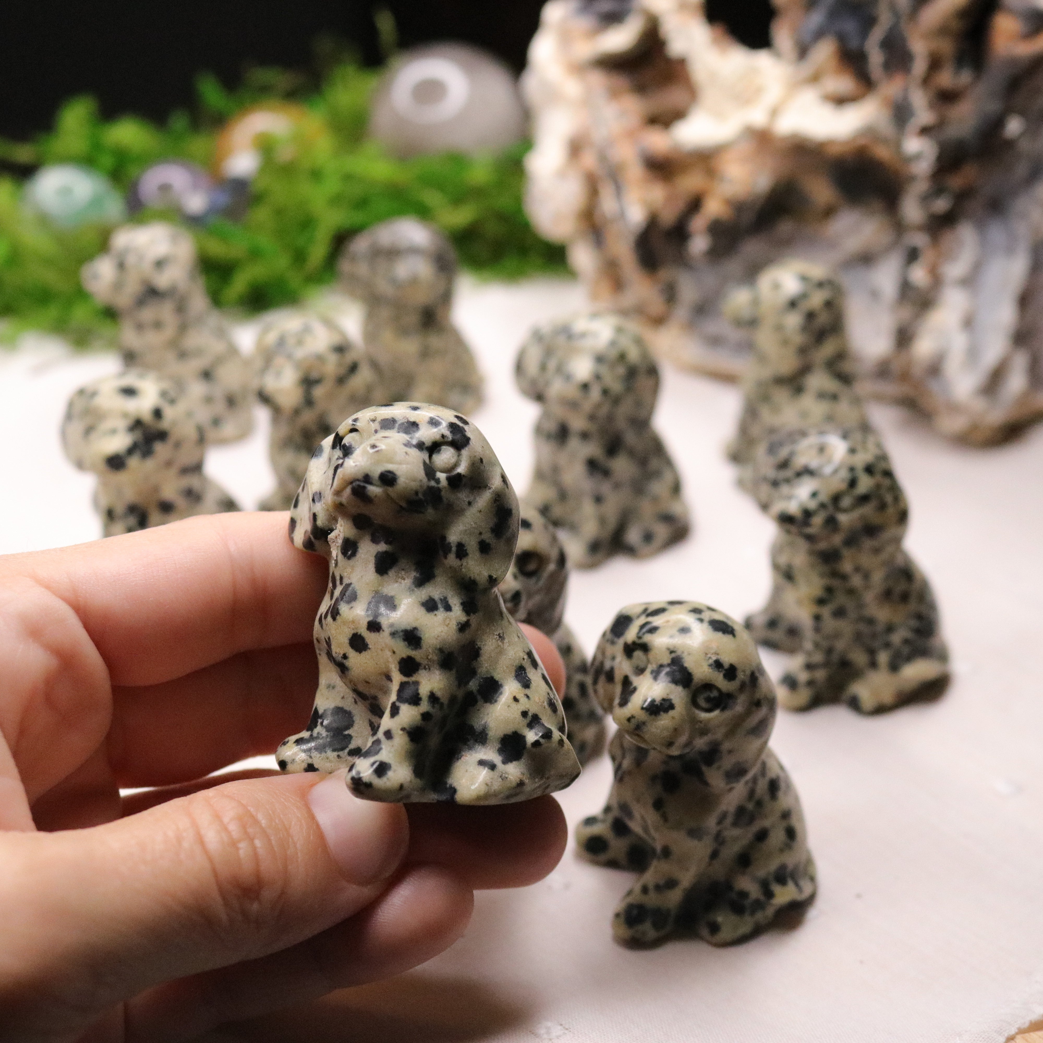 Dalmatian Jasper ~ Dalmatian Dog Carving ~ Companion Crystal for Playful Spirit - Earth Family Crystals