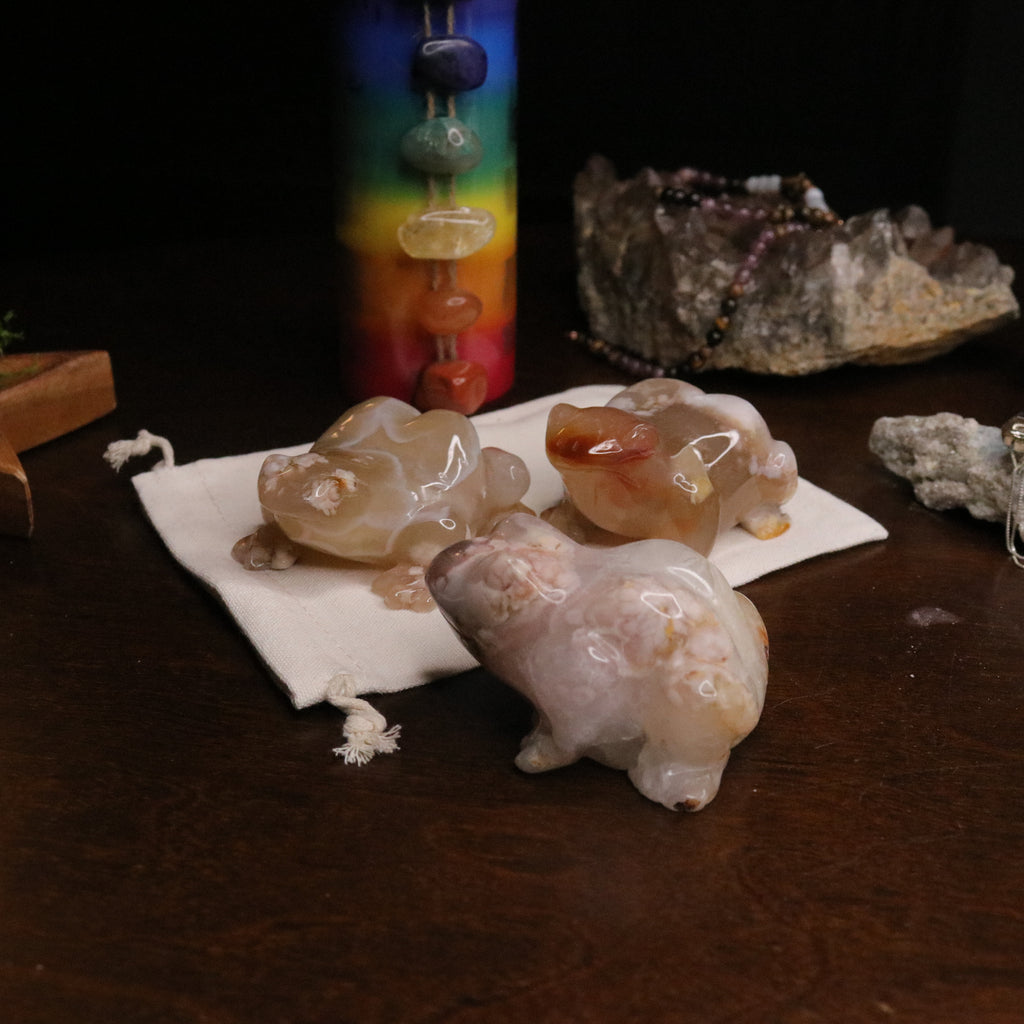 Flower Agate Frog Carvings ~ Gentle and Uplifting Energy - Earth Family Crystals