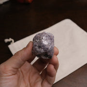 Adorable Coconut Mica Specimen ~ Lepidolite Mica - Earth Family Crystals