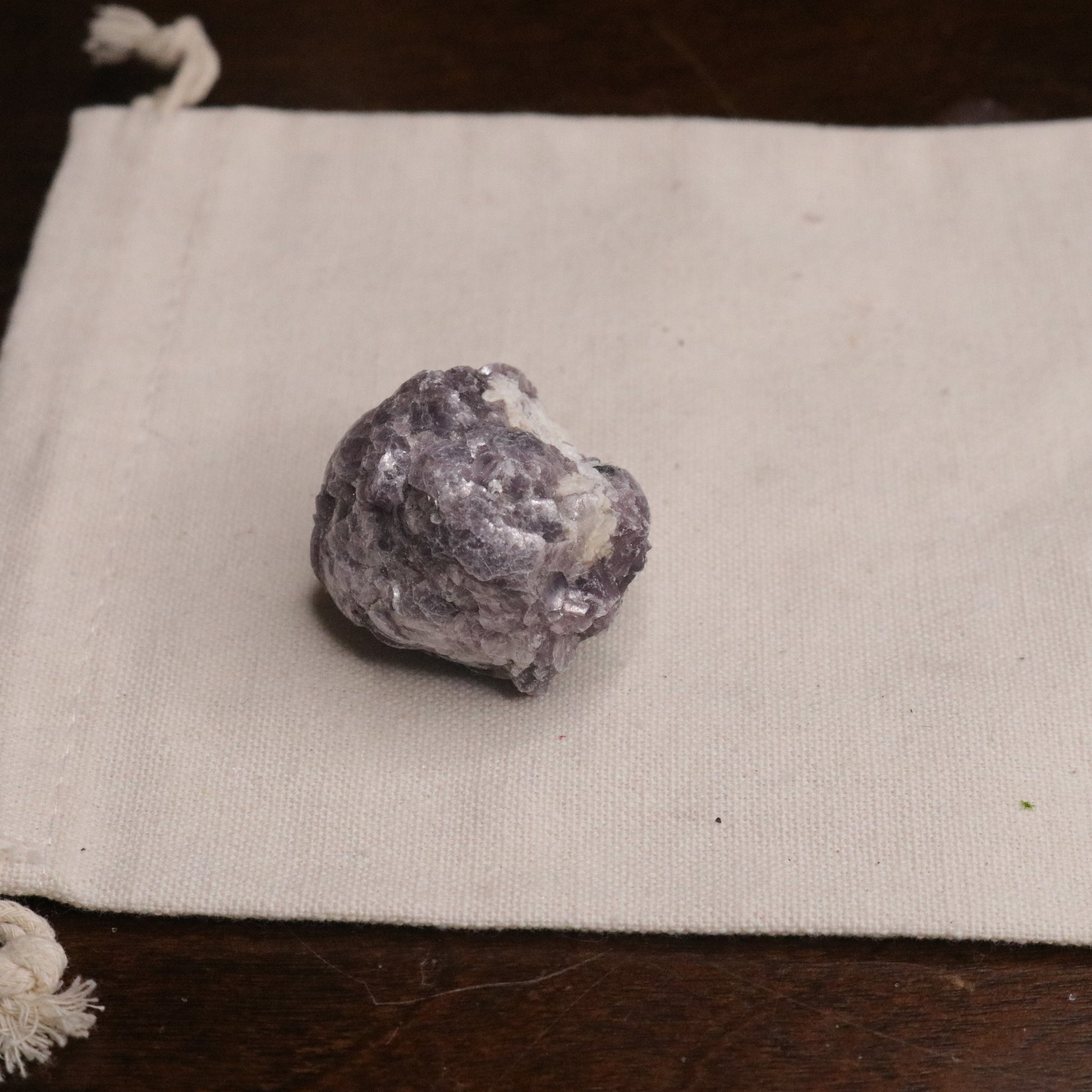 Adorable Coconut Mica Specimen ~ Lepidolite Mica - Earth Family Crystals
