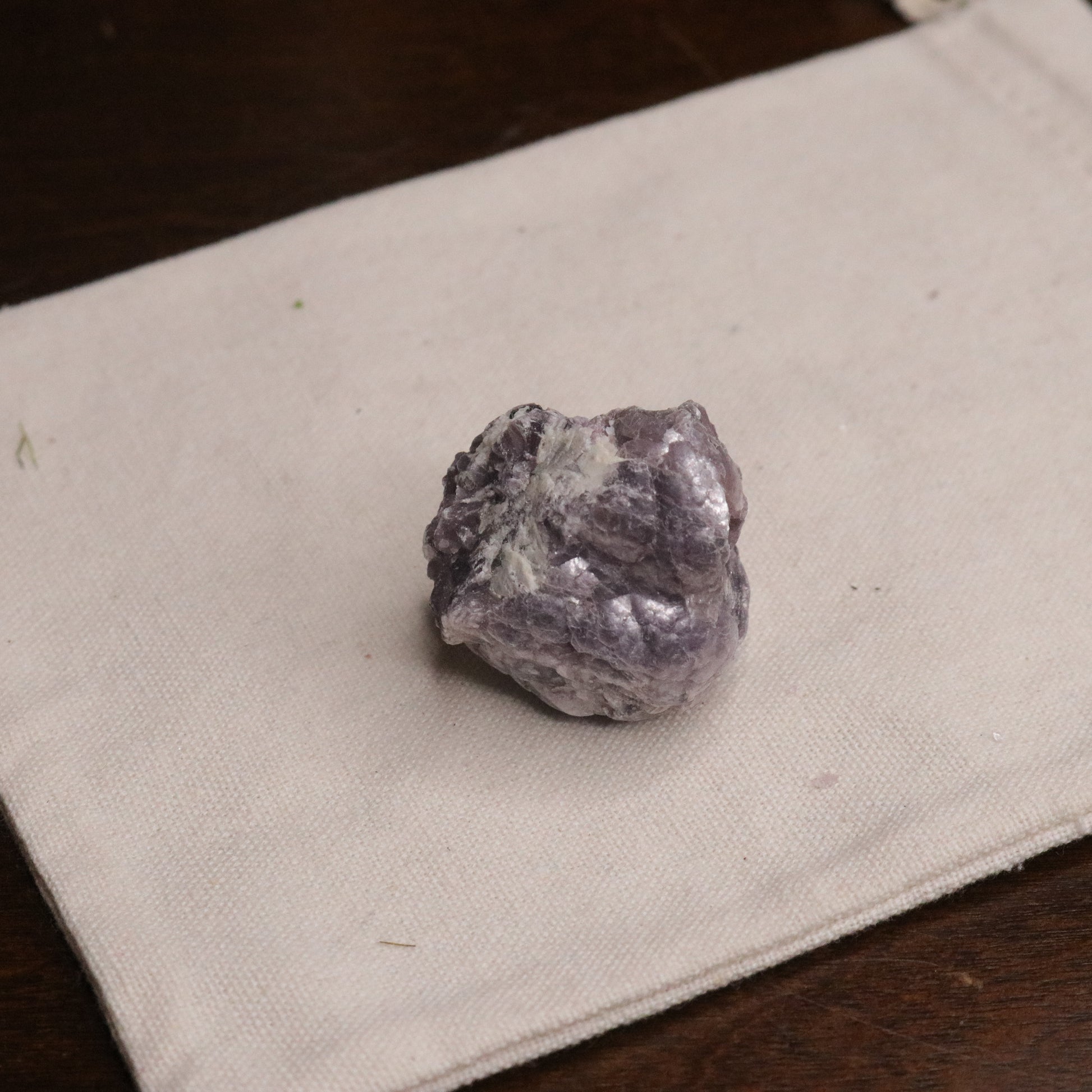 Adorable Coconut Mica Specimen ~ Lepidolite Mica - Earth Family Crystals