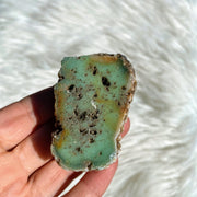 Australian Chrysoprase Natural Free Form specimen #1 - Earth Family Crystals
