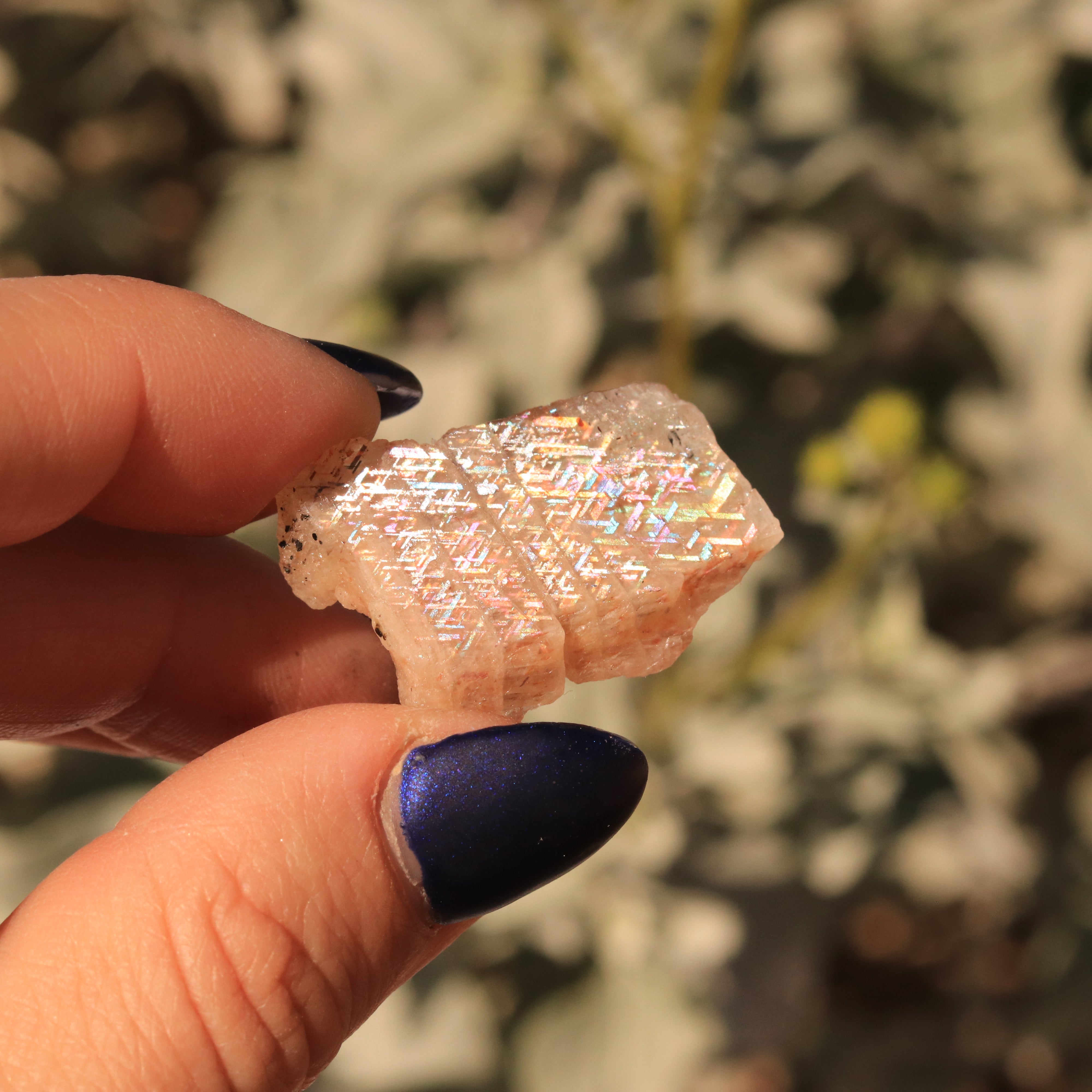 Rare Collector's Specimen 6 CT Gemmy Rainbow Lattice Sunstone from Australia