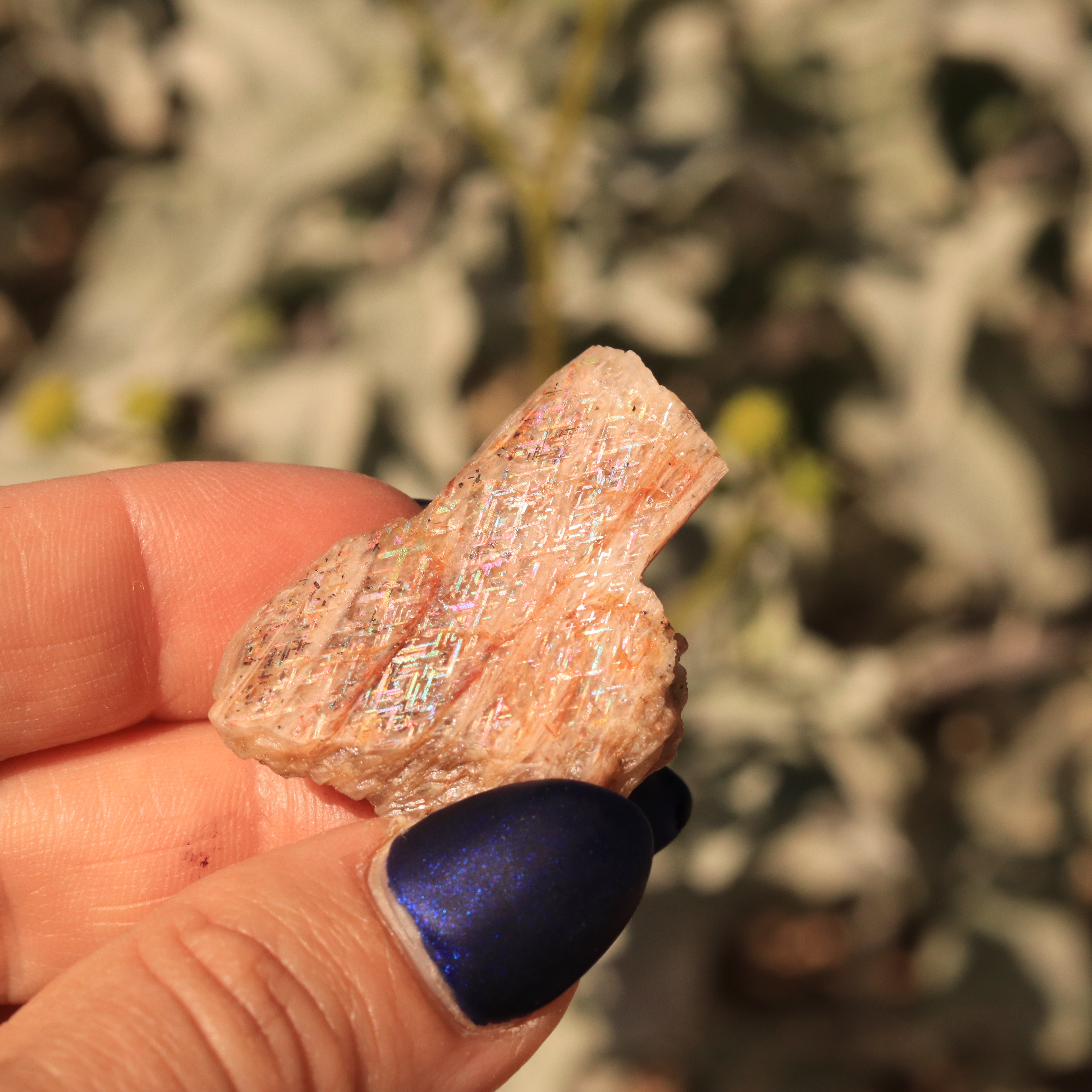 16.4 CT Rare Australian Rainbow Lattice Sunstone Moonstone Collector's Gemstone