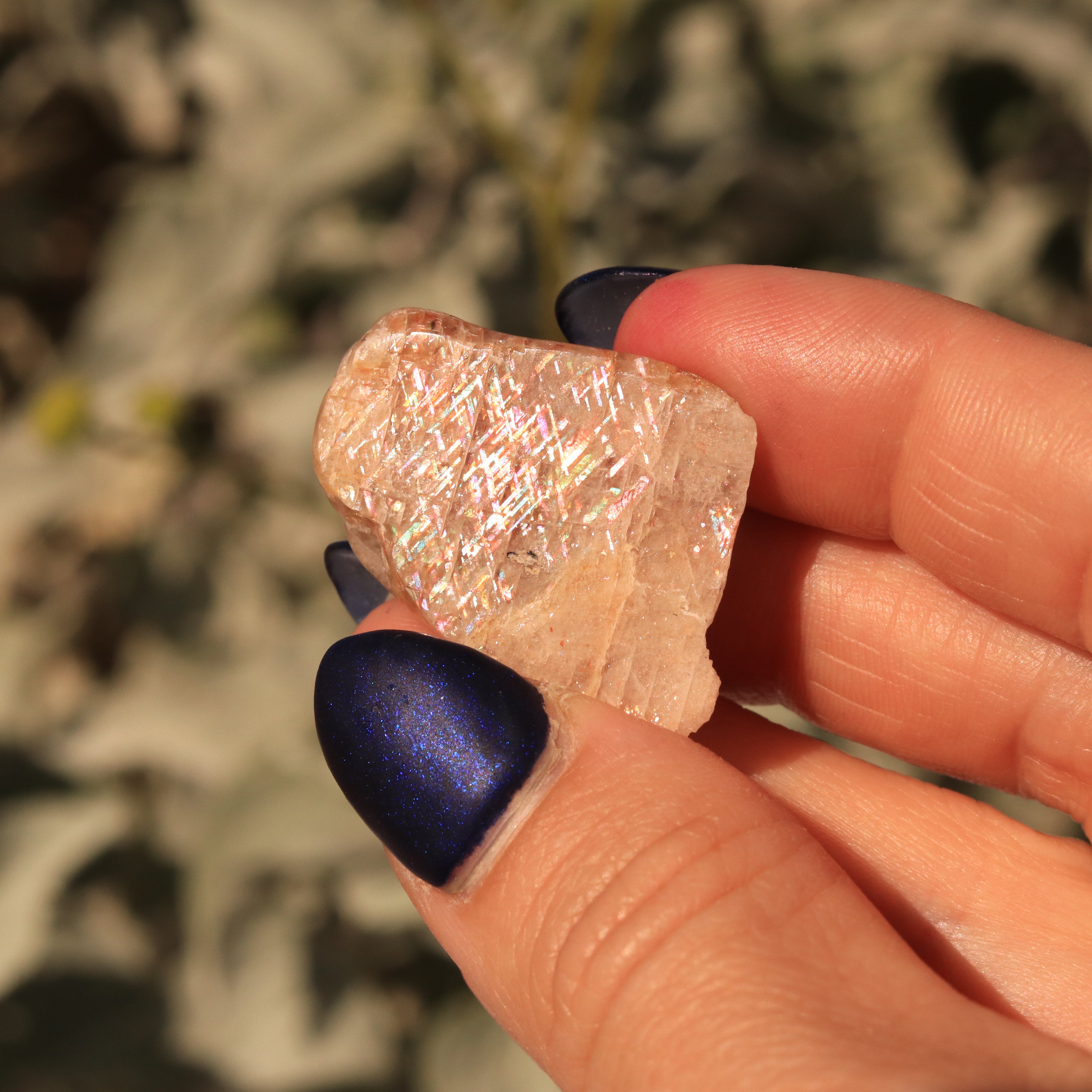 Rainbow Lattice Sunstone 10 CT Polished Collector's Gem