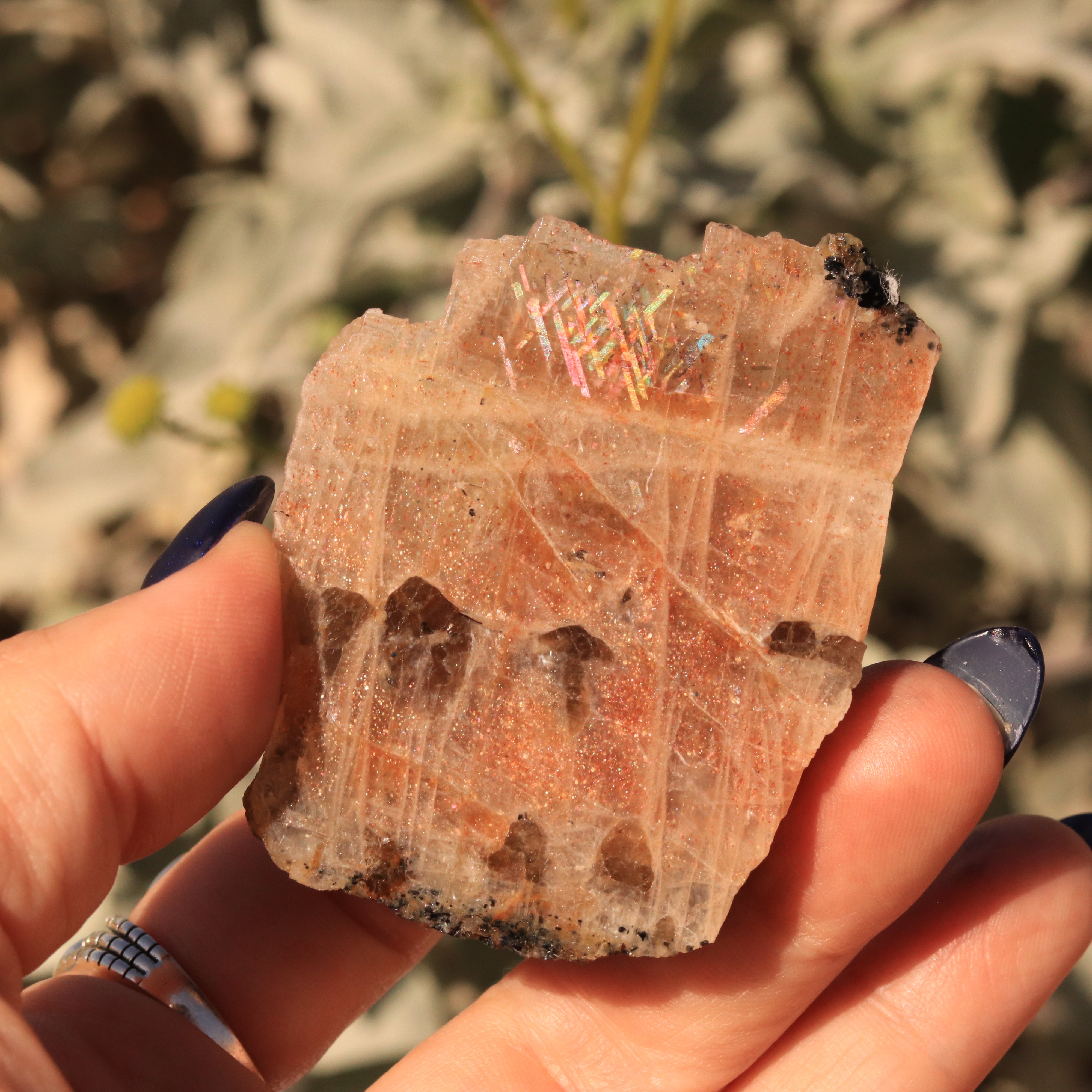 61 CT Very Rare Rainbow Lattice Sunstone Moonstone Collectors Specimen