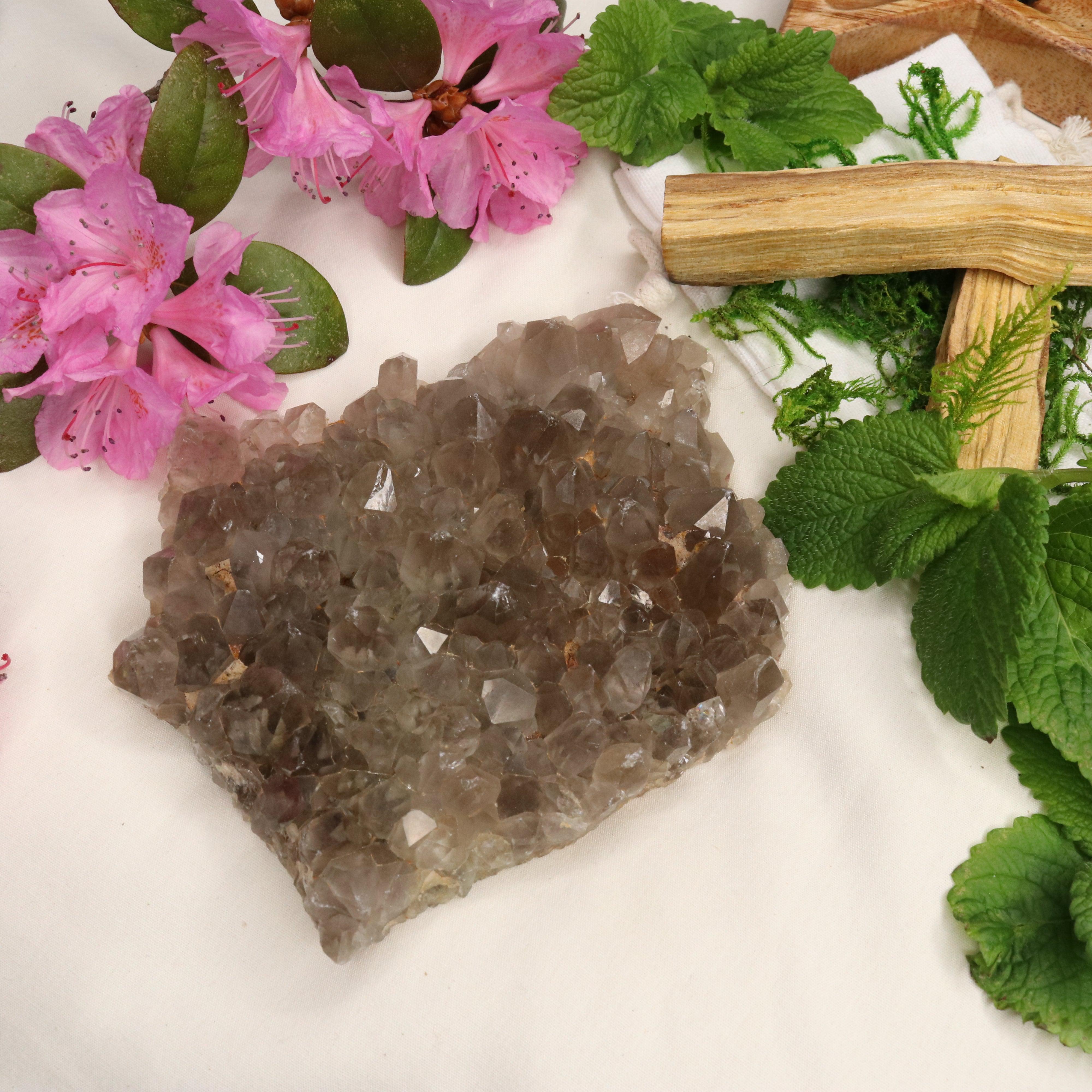 Large Grade A Smoky Quartz Cluster ~ Grounding and Meditative - Earth Family Crystals