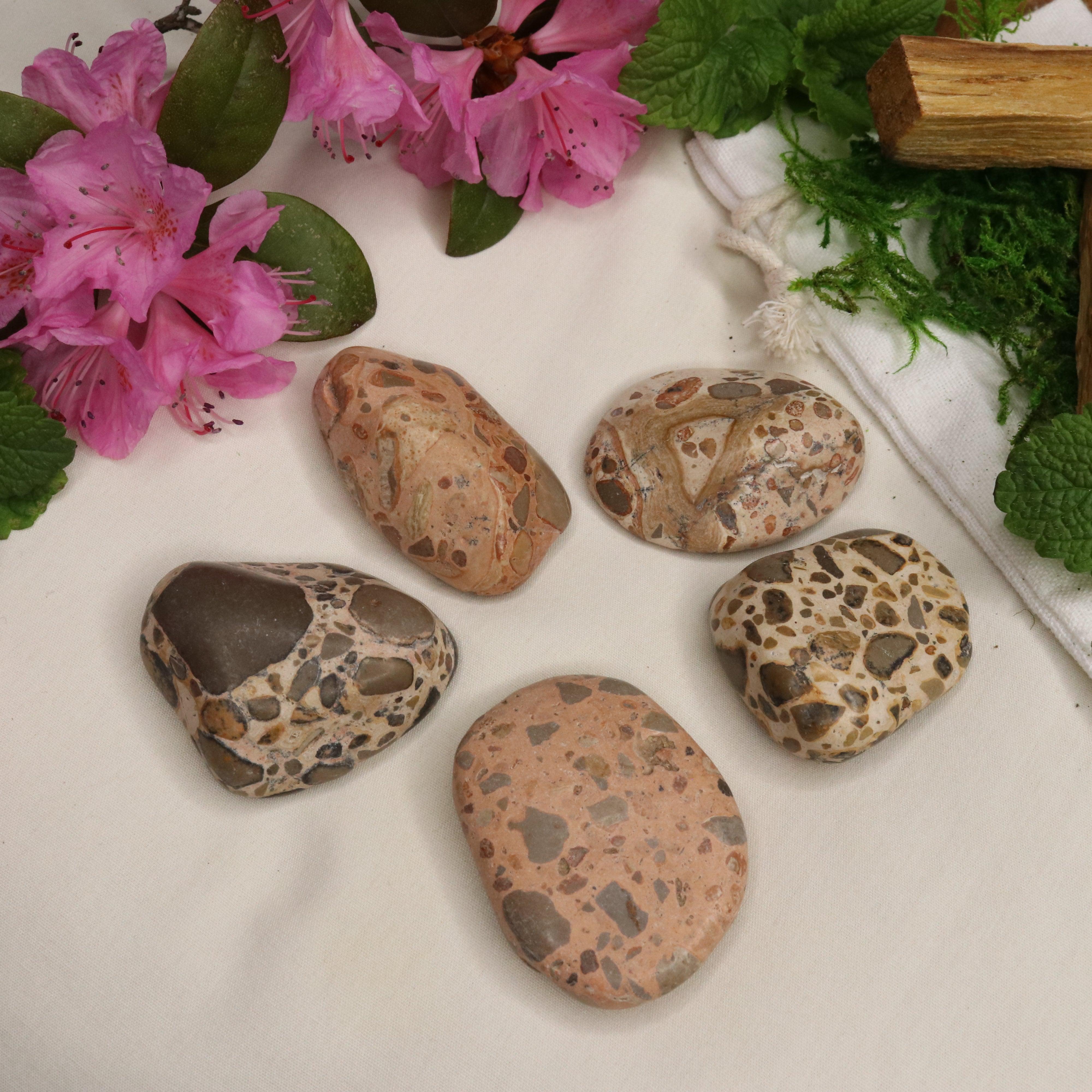 Natural Rhyolite Palm Stones - Earth Family Crystals