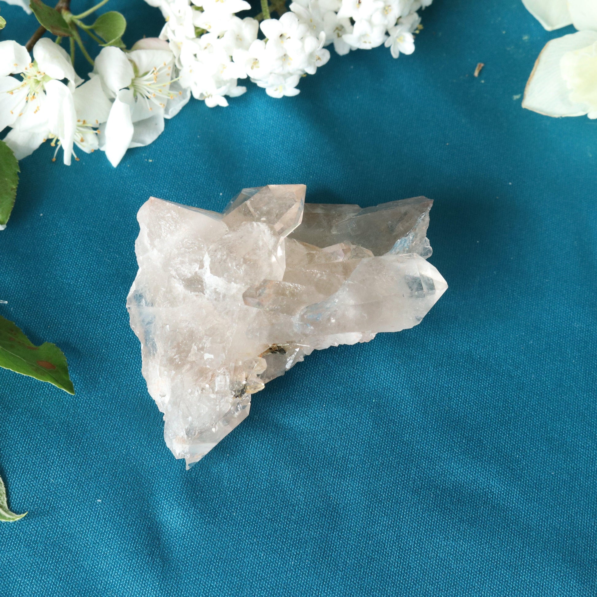 Rutilated Smoky Quartz Cluster Specimen with GORGEOUS Golden Rutile Inclusion - Earth Family Crystals