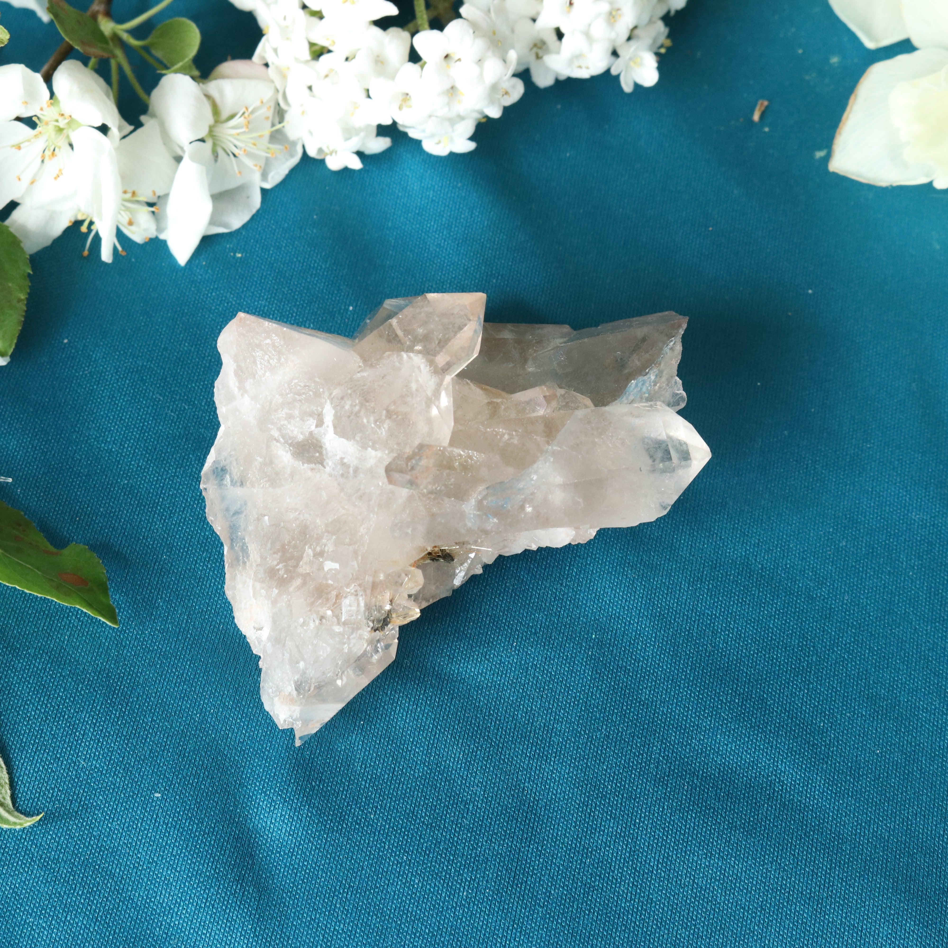 Rutilated Smoky Quartz Cluster Specimen with GORGEOUS Golden Rutile Inclusion - Earth Family Crystals