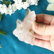 Rutilated Smoky Quartz Cluster Specimen with GORGEOUS Golden Rutile Inclusion - Earth Family Crystals