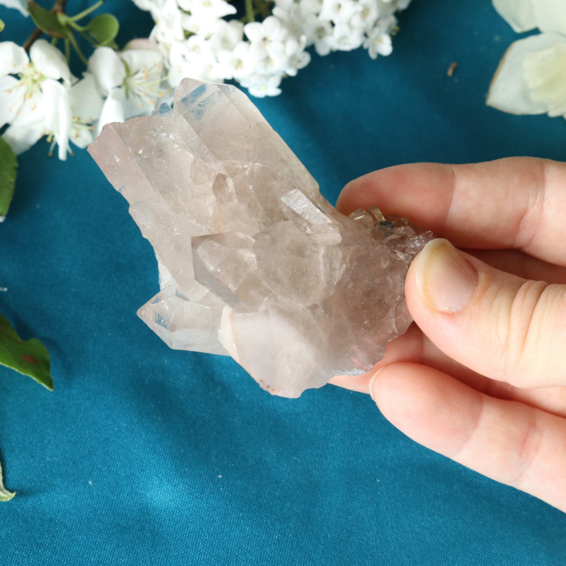 Rutilated Smoky Quartz Cluster Specimen with GORGEOUS Golden Rutile Inclusion - Earth Family Crystals