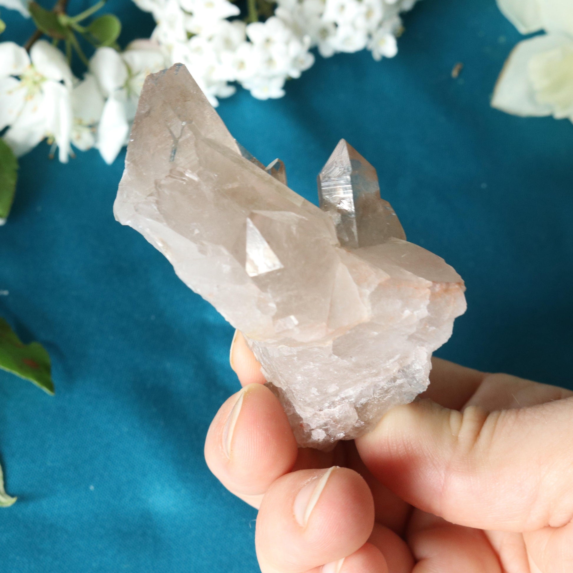 Rutilated Smoky Quartz Cluster Specimen with GORGEOUS Golden Rutile Inclusion - Earth Family Crystals