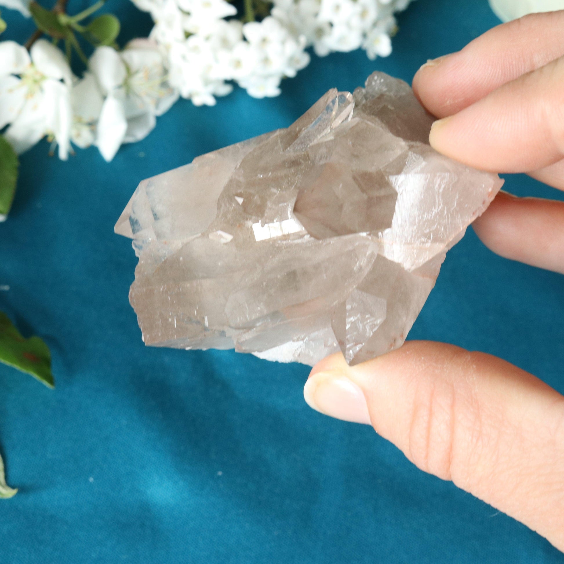 Rutilated Smoky Quartz Cluster Specimen with GORGEOUS Golden Rutile Inclusion - Earth Family Crystals
