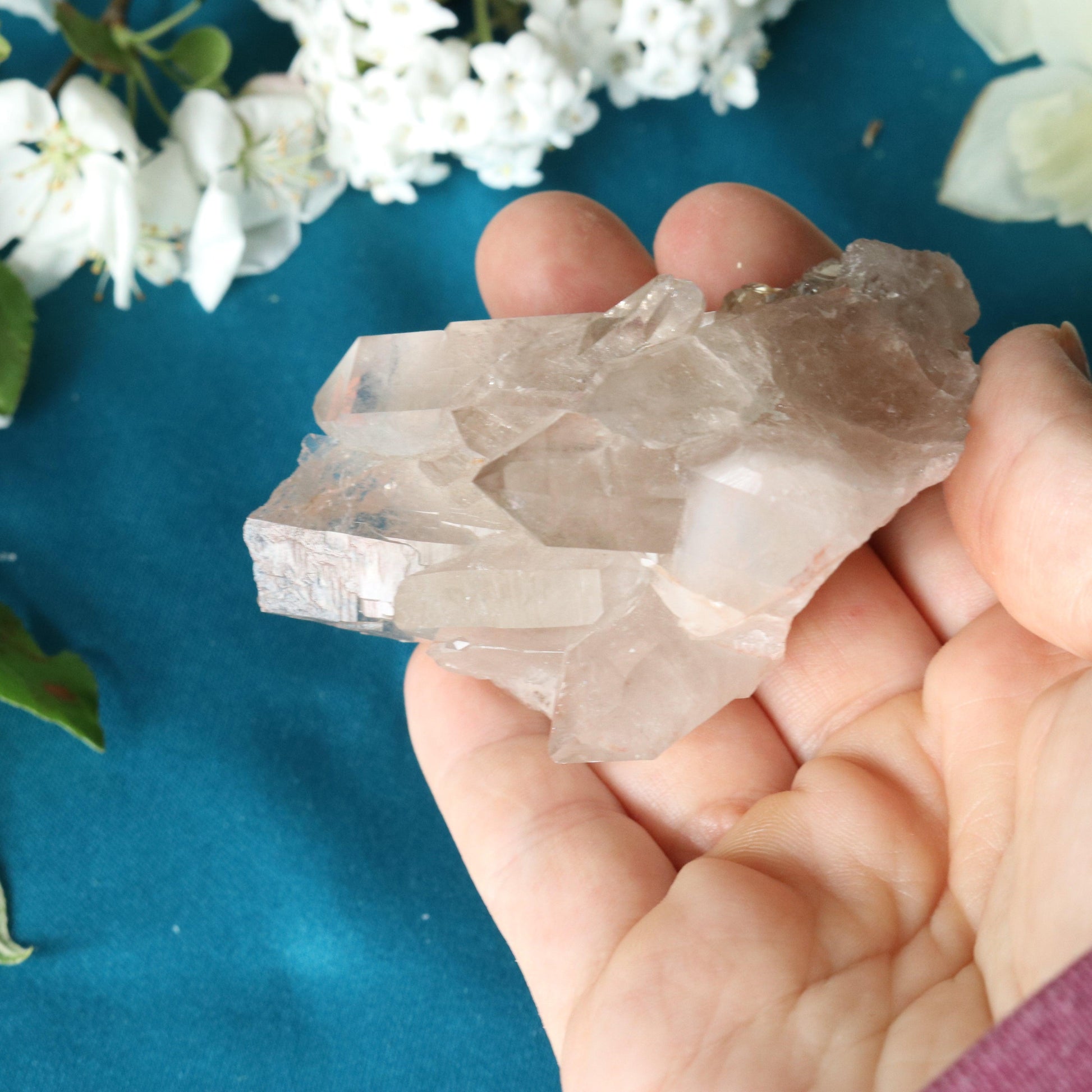 Rutilated Smoky Quartz Cluster Specimen with GORGEOUS Golden Rutile Inclusion - Earth Family Crystals