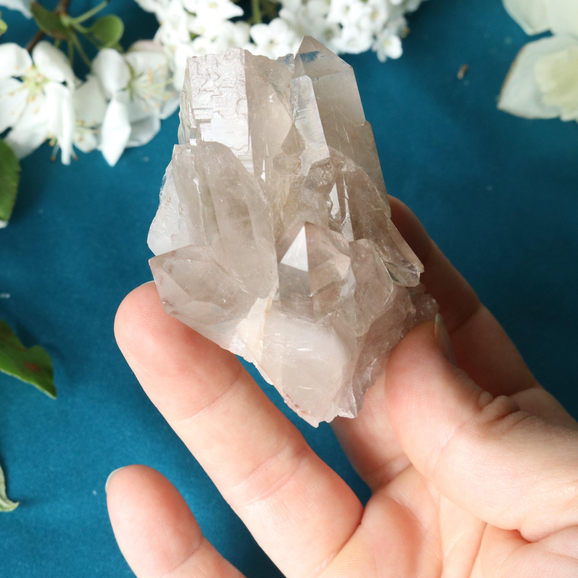Rutilated Smoky Quartz Cluster Specimen with GORGEOUS Golden Rutile Inclusion - Earth Family Crystals
