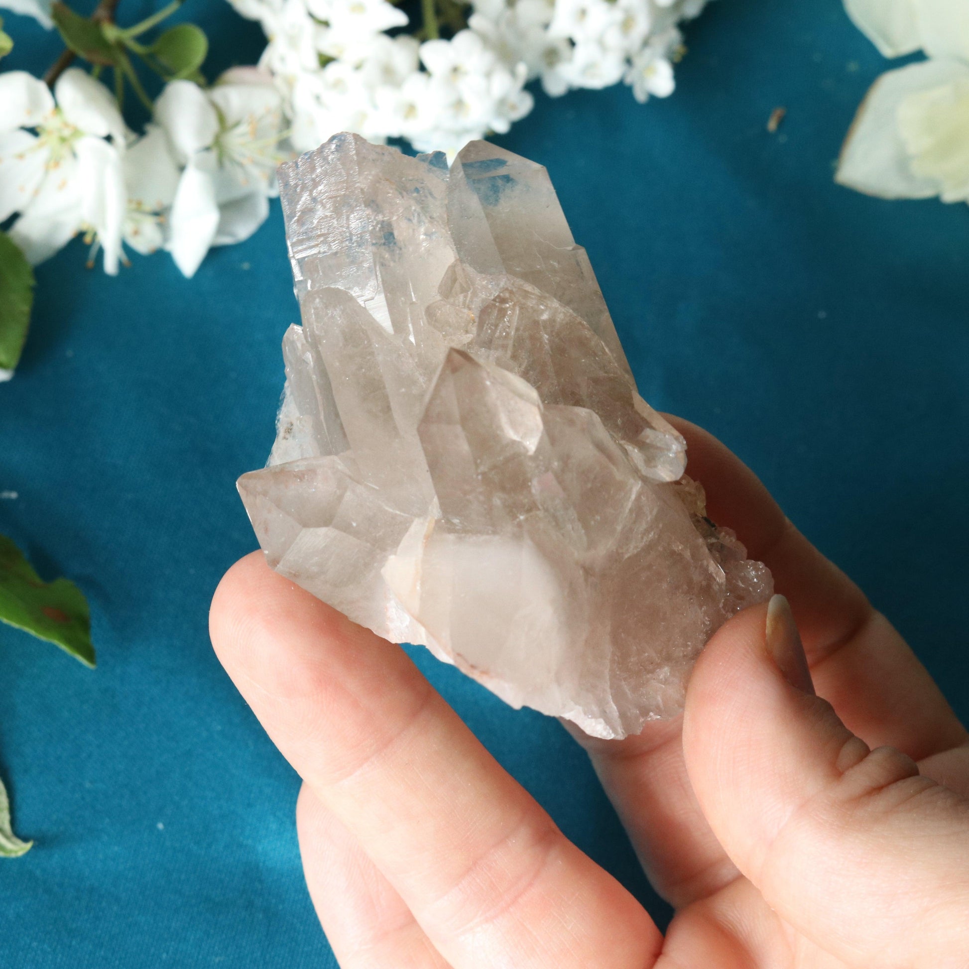 Rutilated Smoky Quartz Cluster Specimen with GORGEOUS Golden Rutile Inclusion - Earth Family Crystals