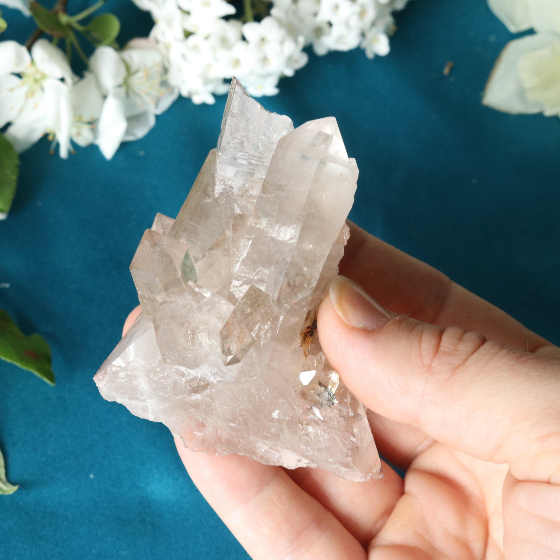 Rutilated Smoky Quartz Cluster Specimen with GORGEOUS Golden Rutile Inclusion - Earth Family Crystals