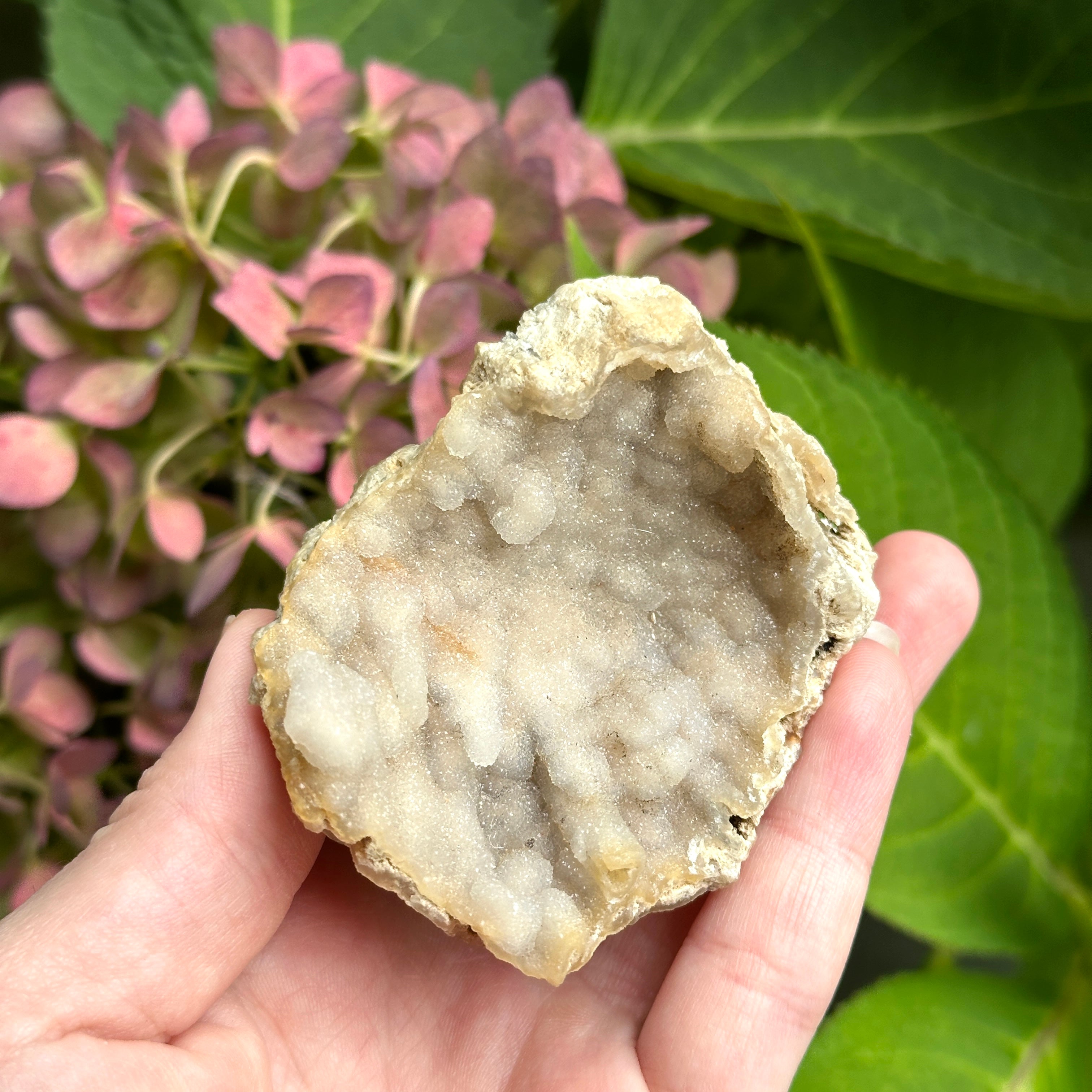 Shimmering Chalcedony Geode Specimen