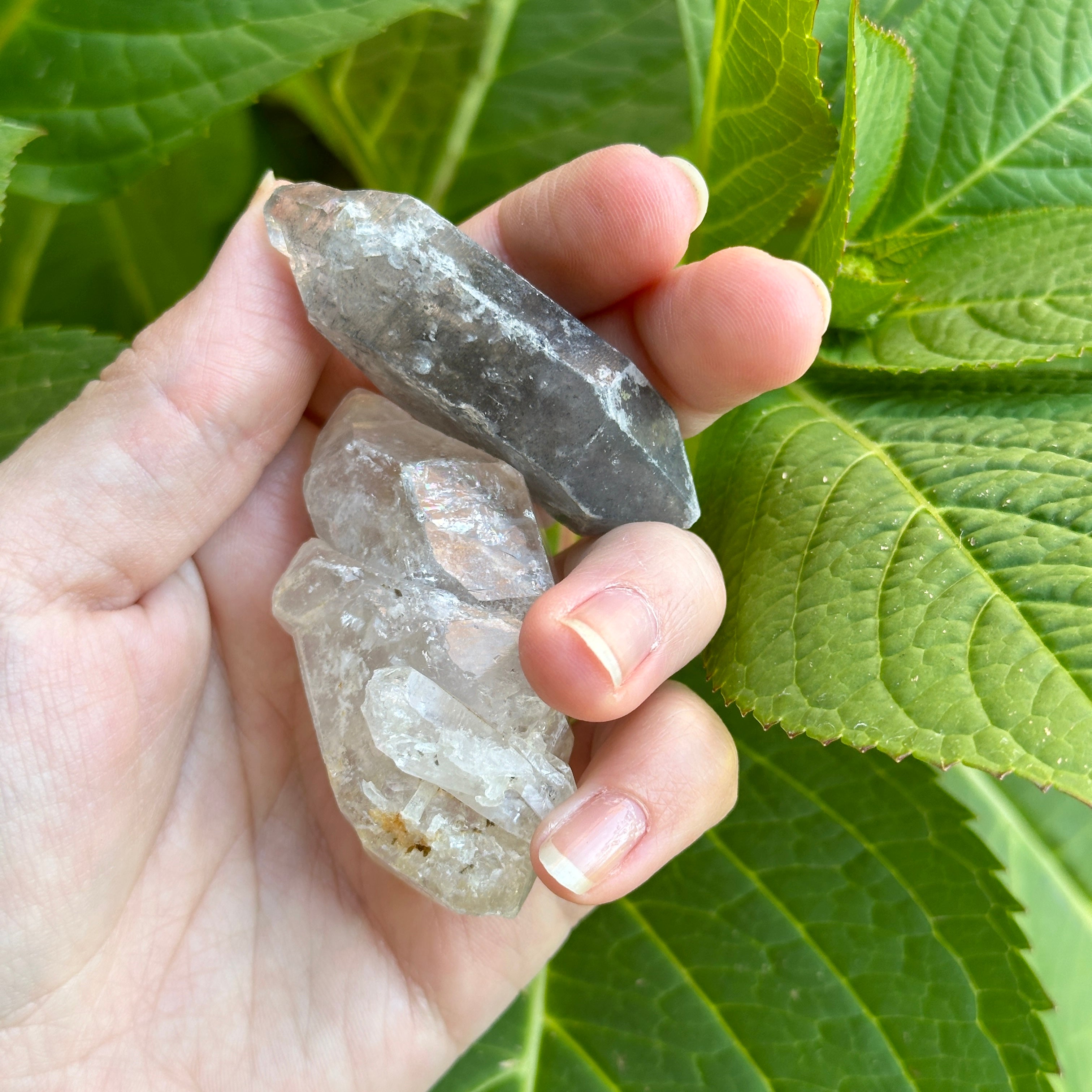 Dynamic Duo ~ Set of Two, Double Terminated Tibetan Healing Quartz Crystal
