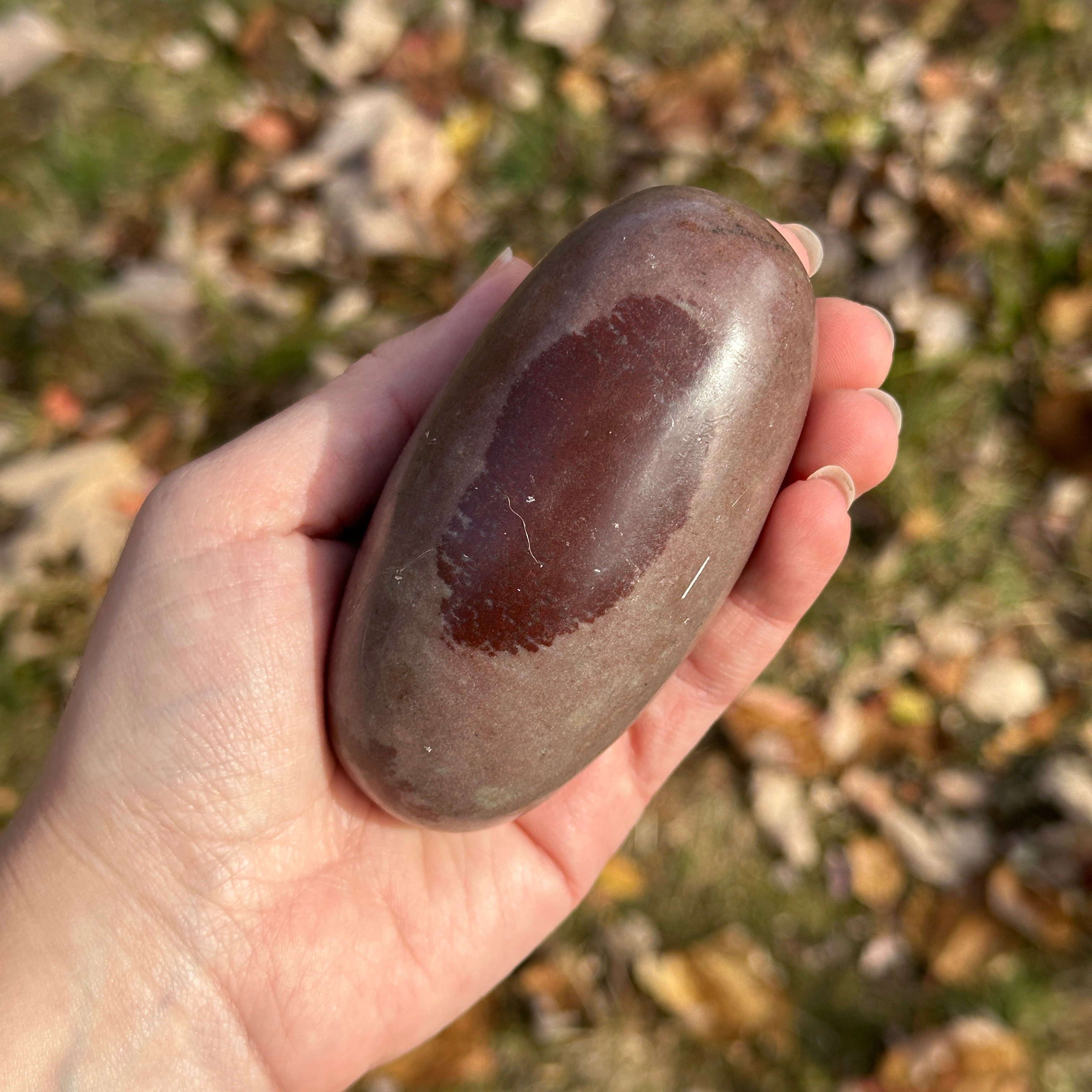 Sacred Medium Natural Shiva Lingham Polished Stone Carving from India ~ Raise Life Force