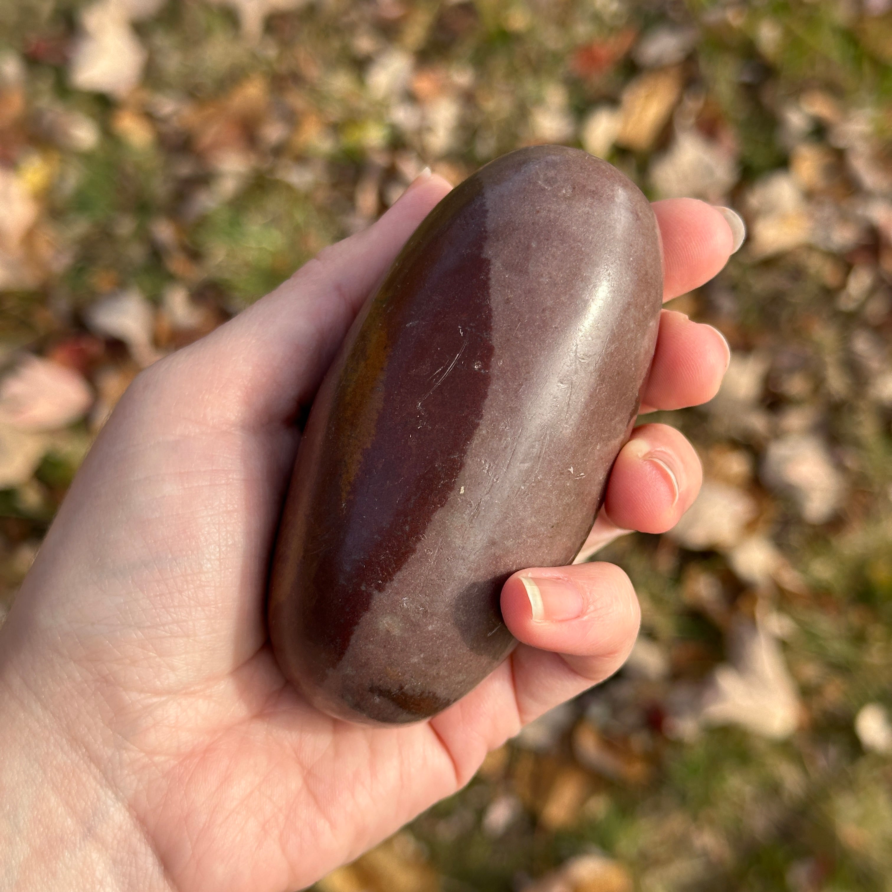 Sacred Medium Natural Shiva Lingham Polished Stone Carving from India ~ Raise Life Force