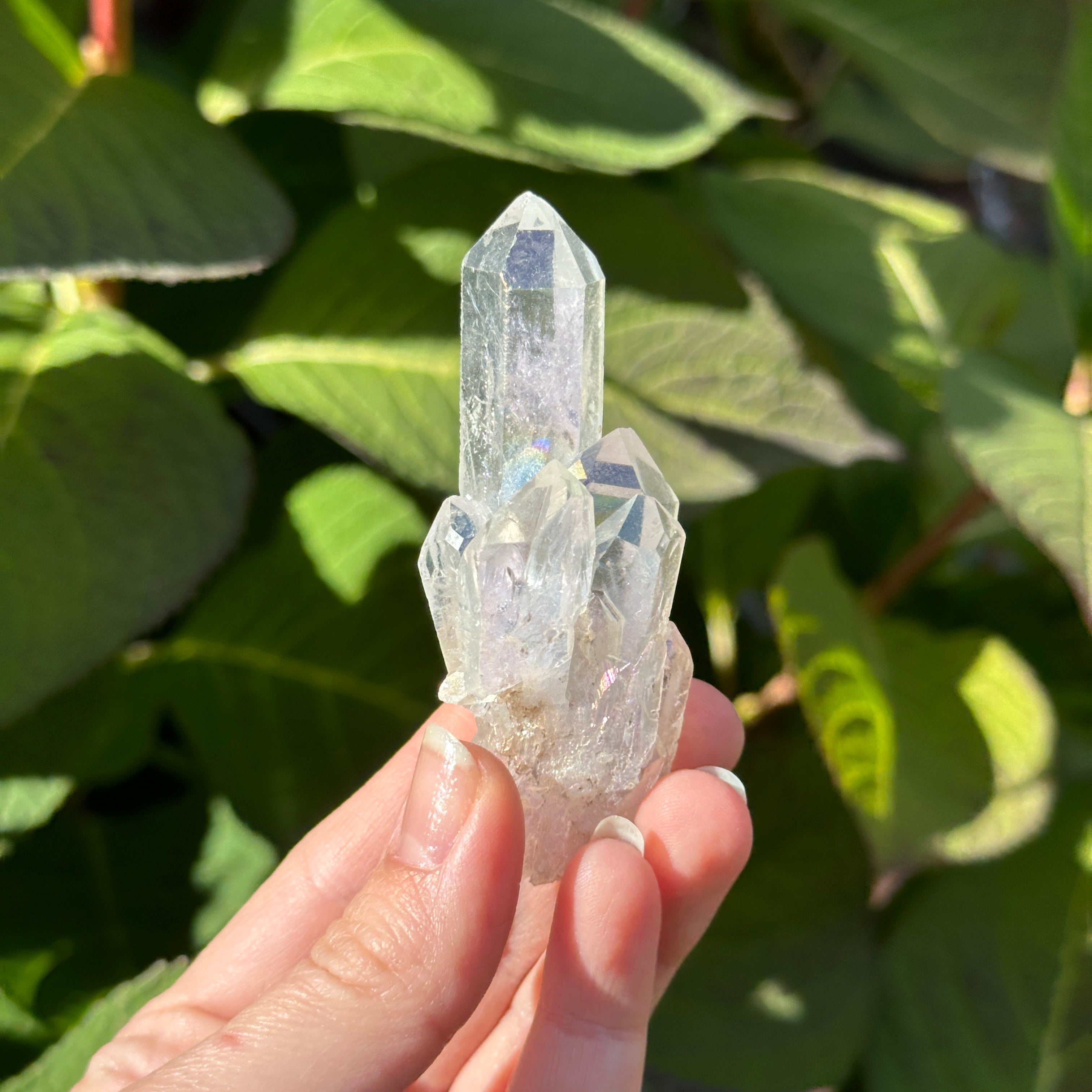Gorgeous Peaks Angel Aura Coated Gemmy Clear Quartz Crystal