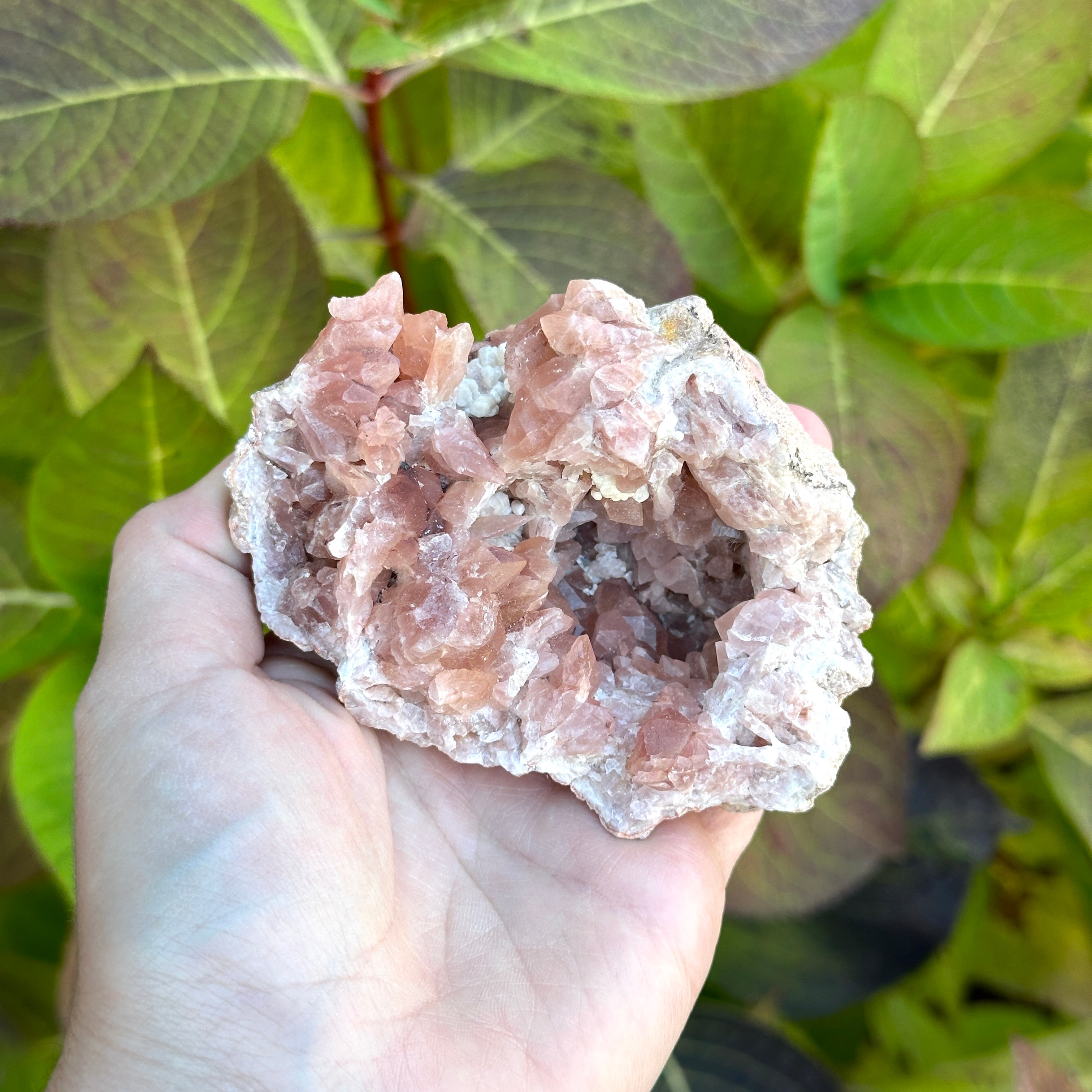 Rare Dancing Rainbows Large Pink Amethyst Druzy Geodes from Colli Cura Mine ~ Argentina