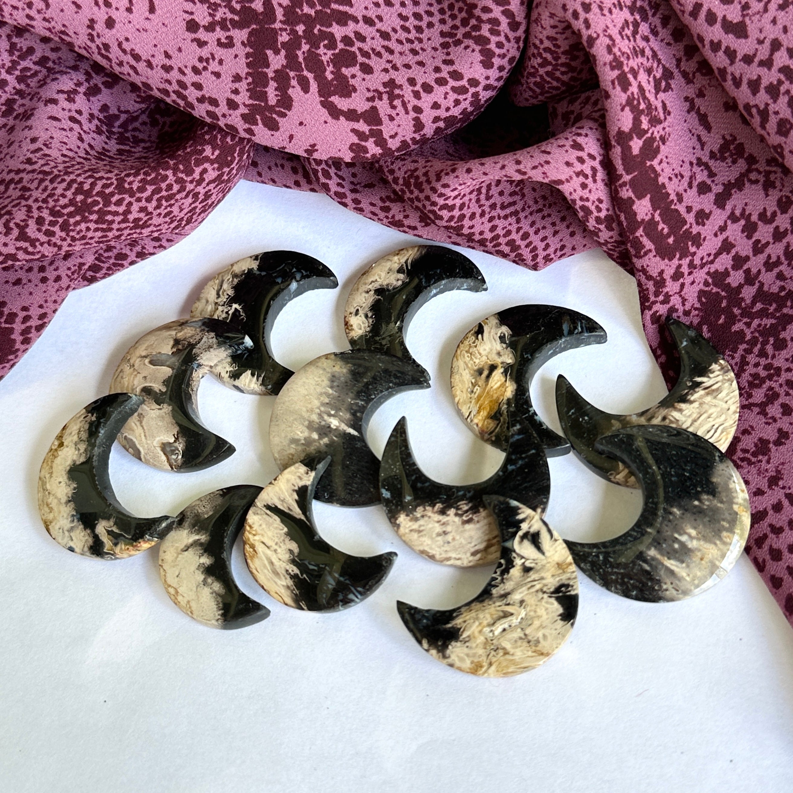 Fossilized Palm Root Crescent Moon Carvings - Ideal for Crafting Cabochon