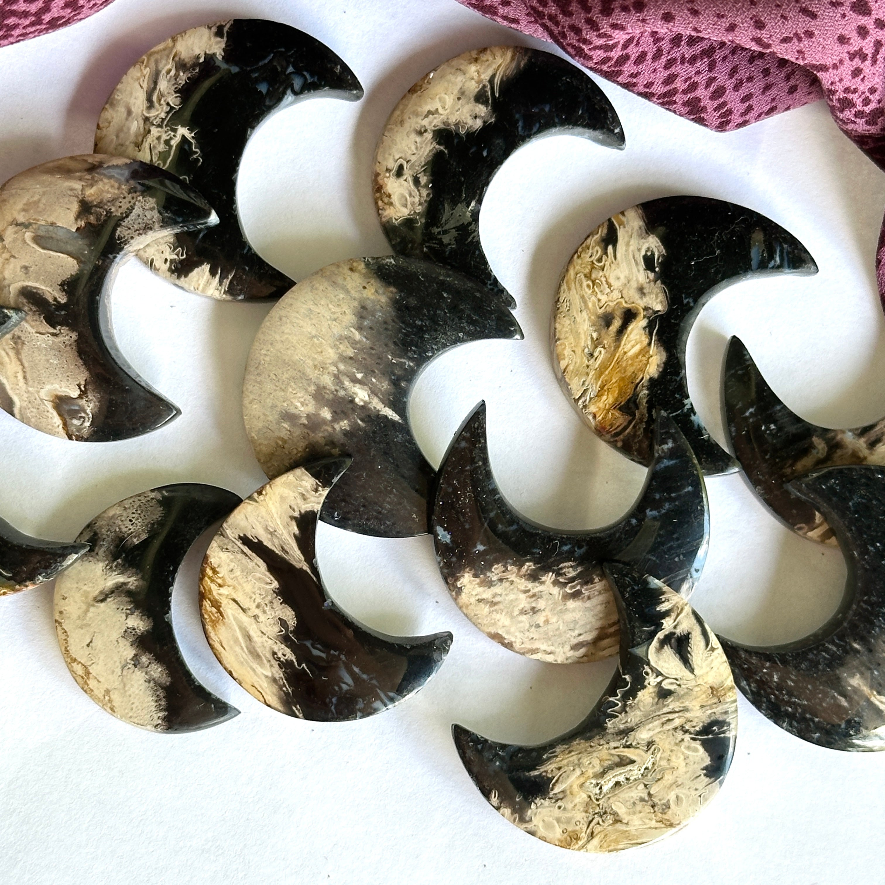 Fossilized Palm Root Crescent Moon Carvings - Ideal for Crafting Cabochon