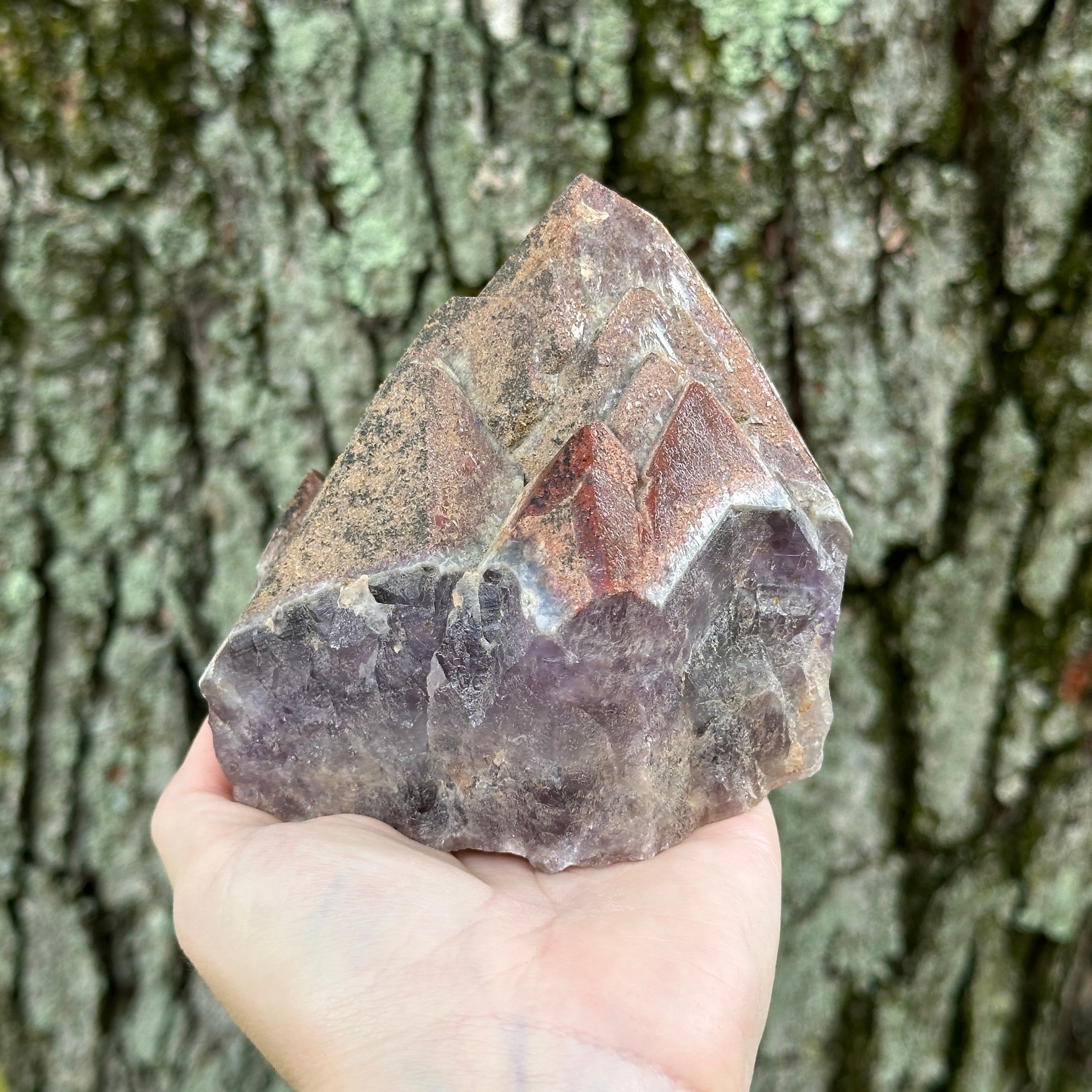 Auralite 23 Natural Point with Amazing Record Keepers - From Ontario, CA