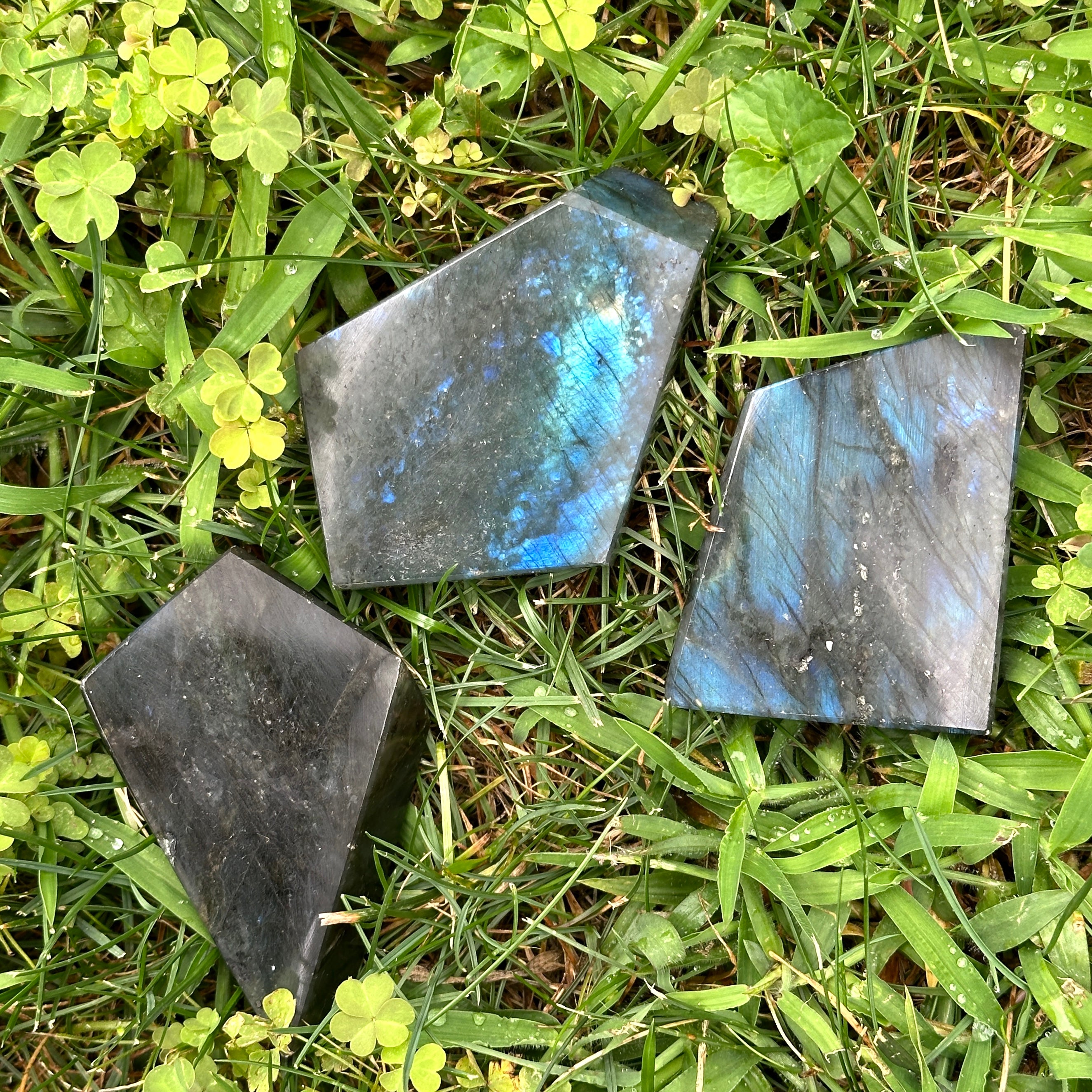 Polished Labradorite Free Form Specimens - Rainbow Flash