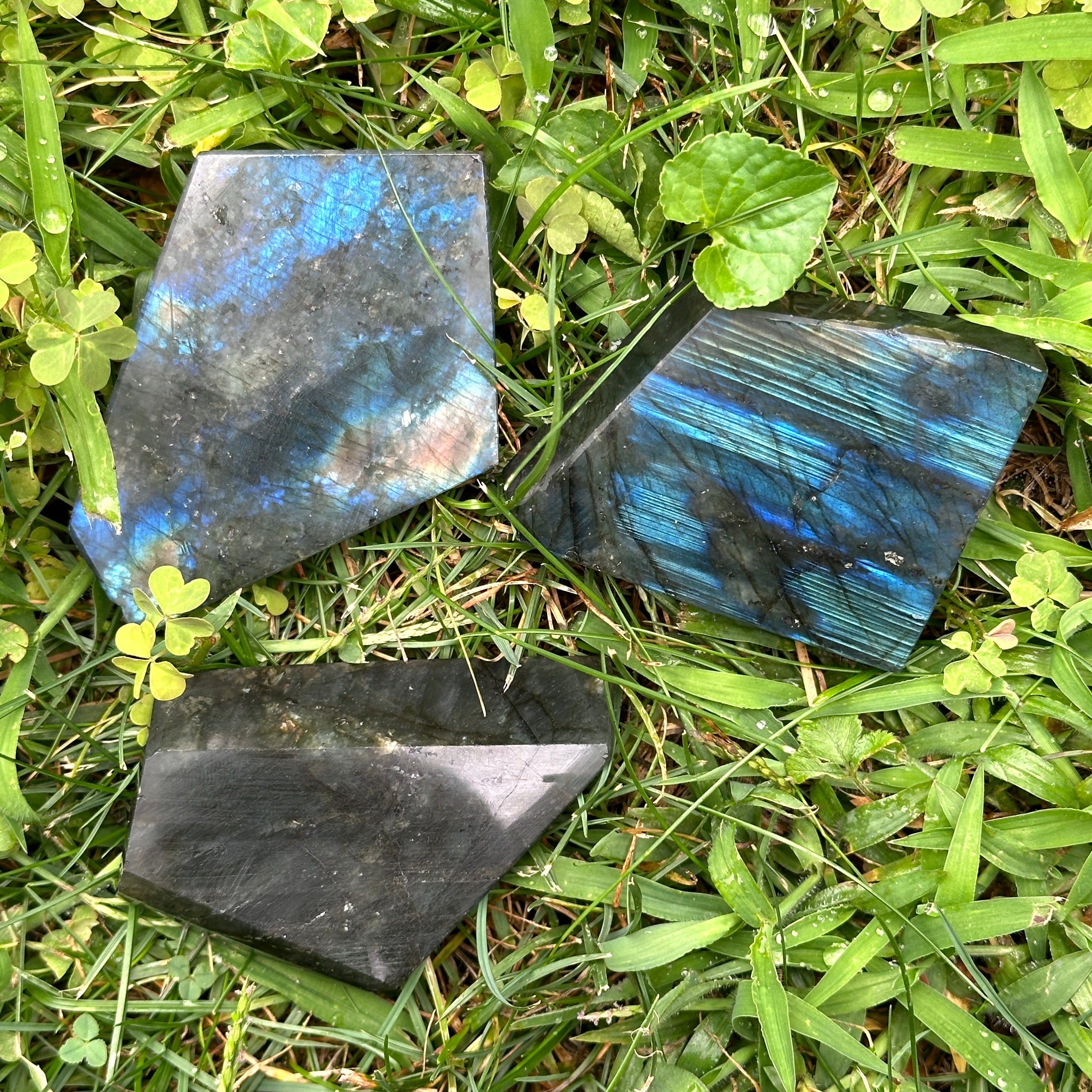 Polished Labradorite Free Form Specimens - Rainbow Flash