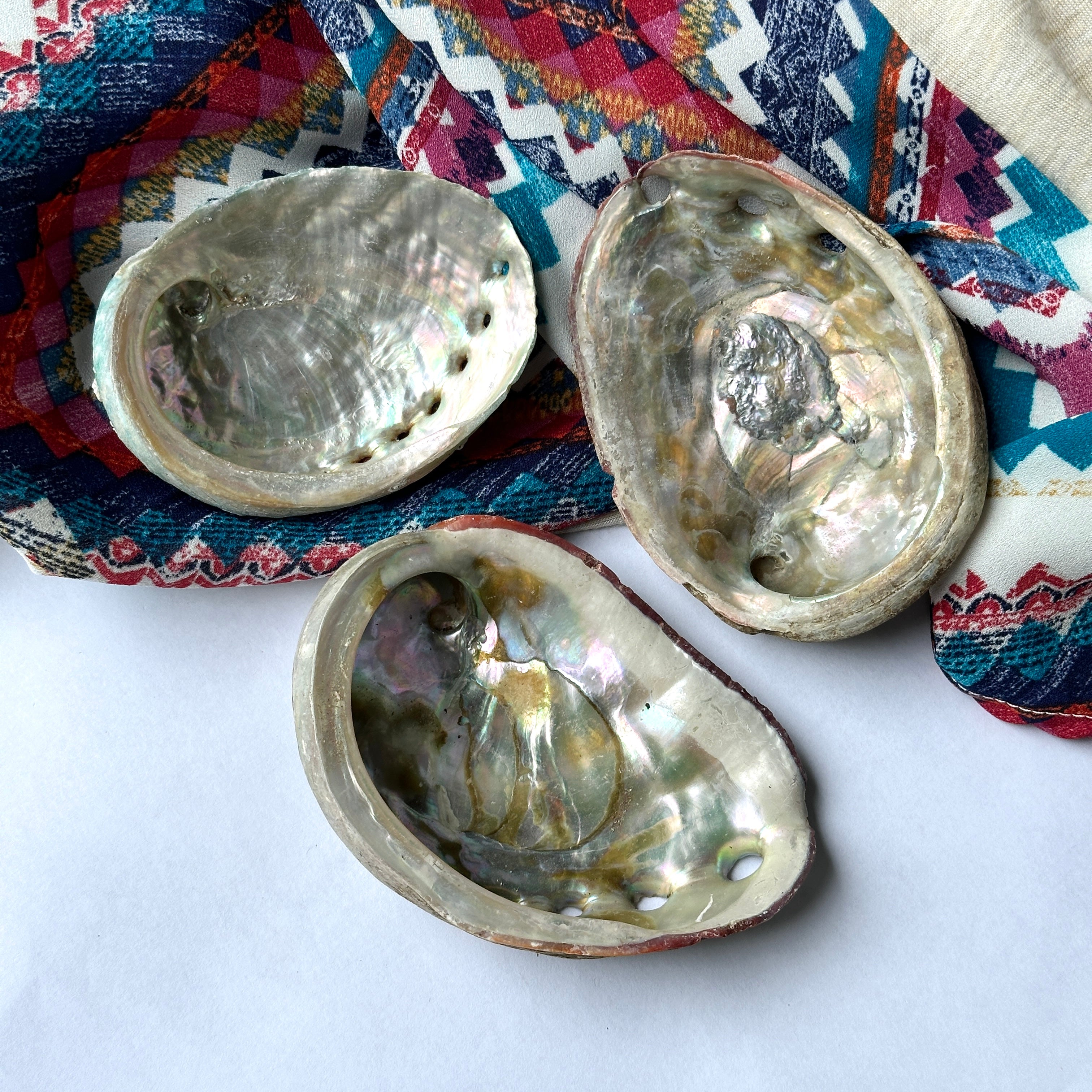Abalone Shells - Perfect for Smudging and Incense