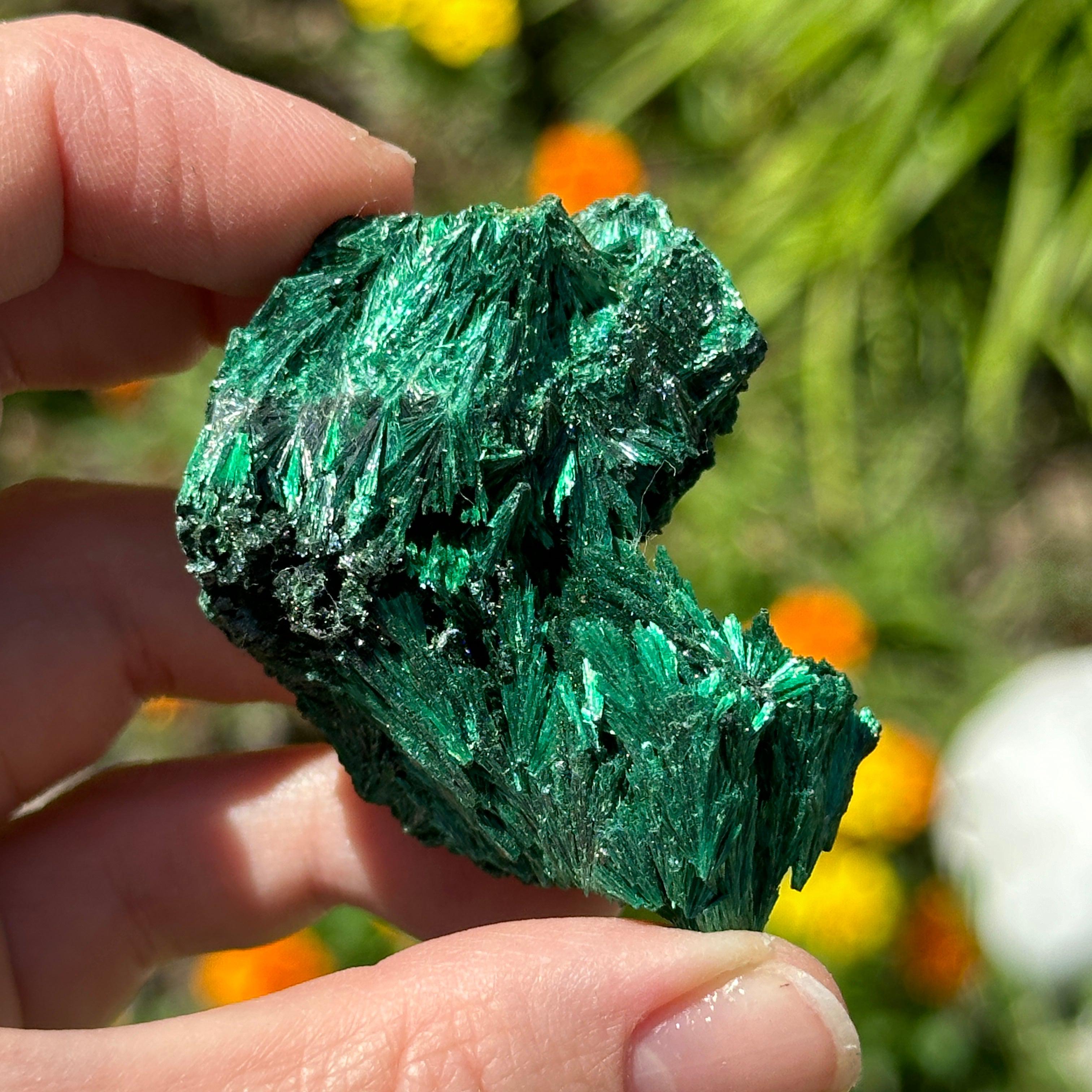 Authentic Malachite Specimen ~ Green Fan Malachite