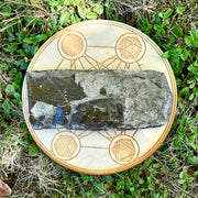 Large Ancient Ammolite Specimen ~ Earthy Grounding Tones for Healing the Root Chakra and Raising Chi