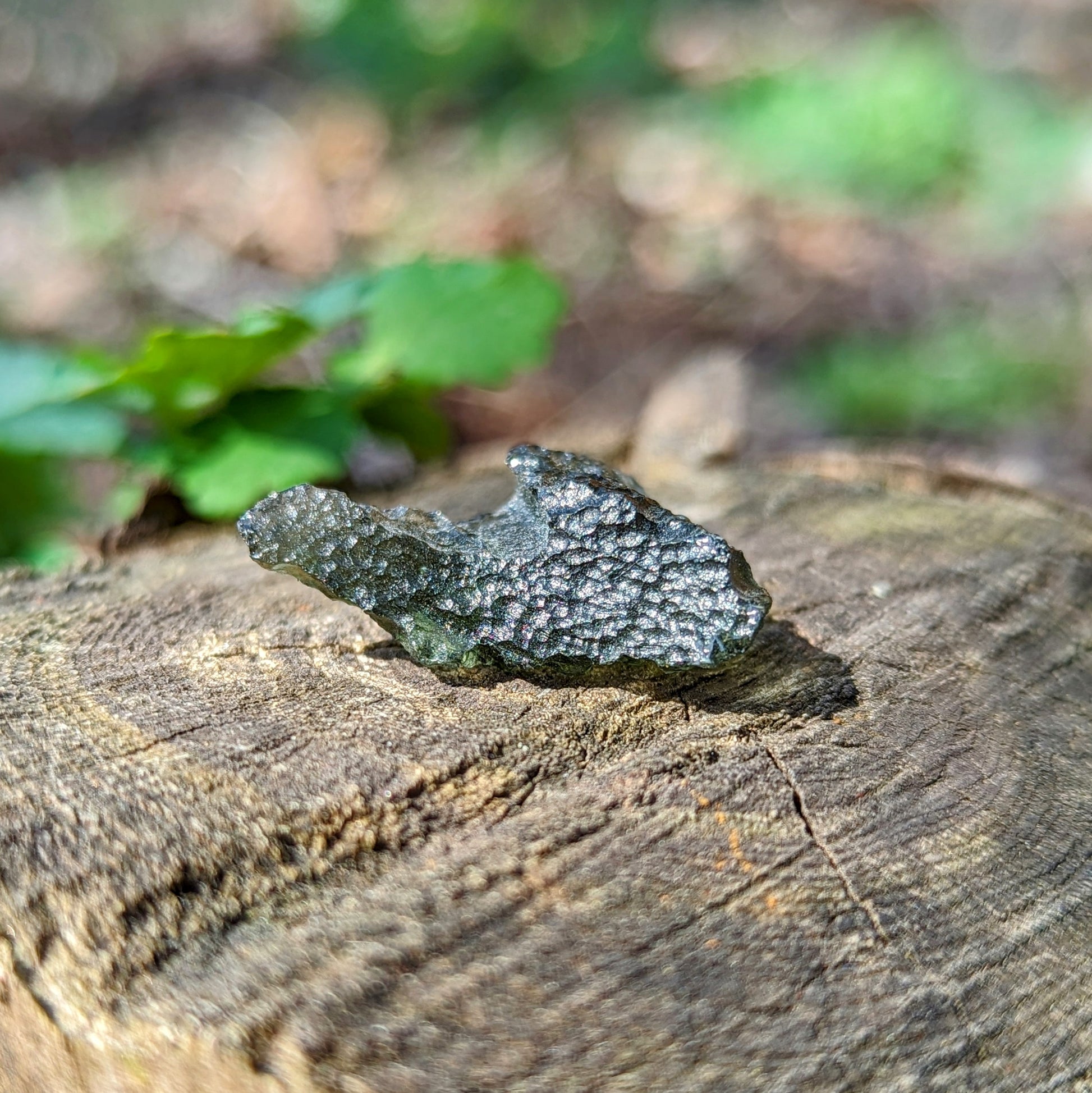Genuine Moldavite ~Extraterrestrial Energies~ Cosmic Moldavite Tektite Crystal~ Natural Moldavite - Earth Family Crystals