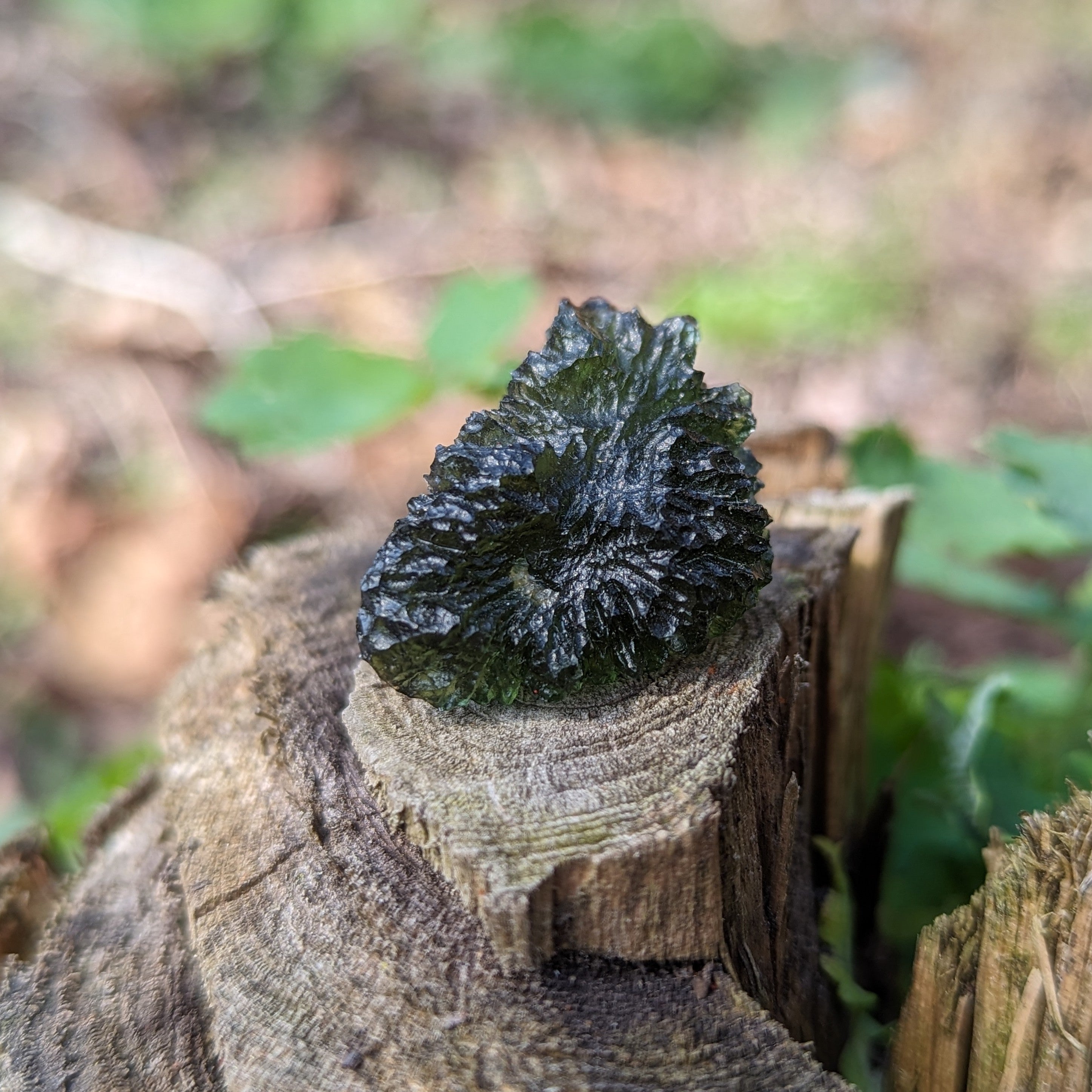 Genuine AAA Grade Moldavite Tektite Crystal~ Cosmic Energies~ Natural Moldavite - Earth Family Crystals