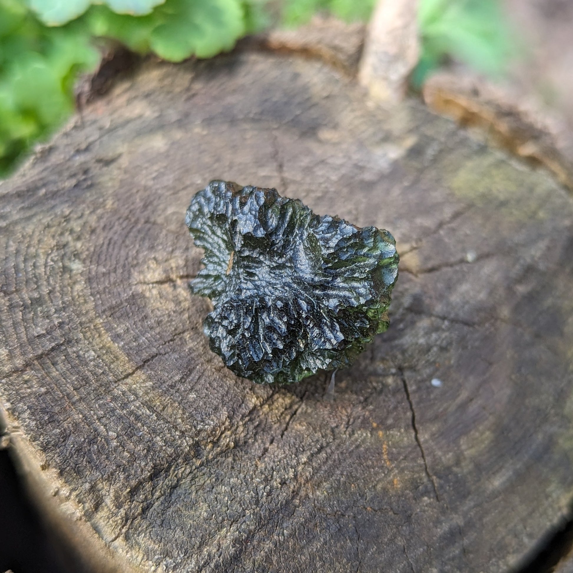 Genuine AAA Grade Moldavite Tektite Crystal~ Cosmic Energies~ Natural Moldavite - Earth Family Crystals
