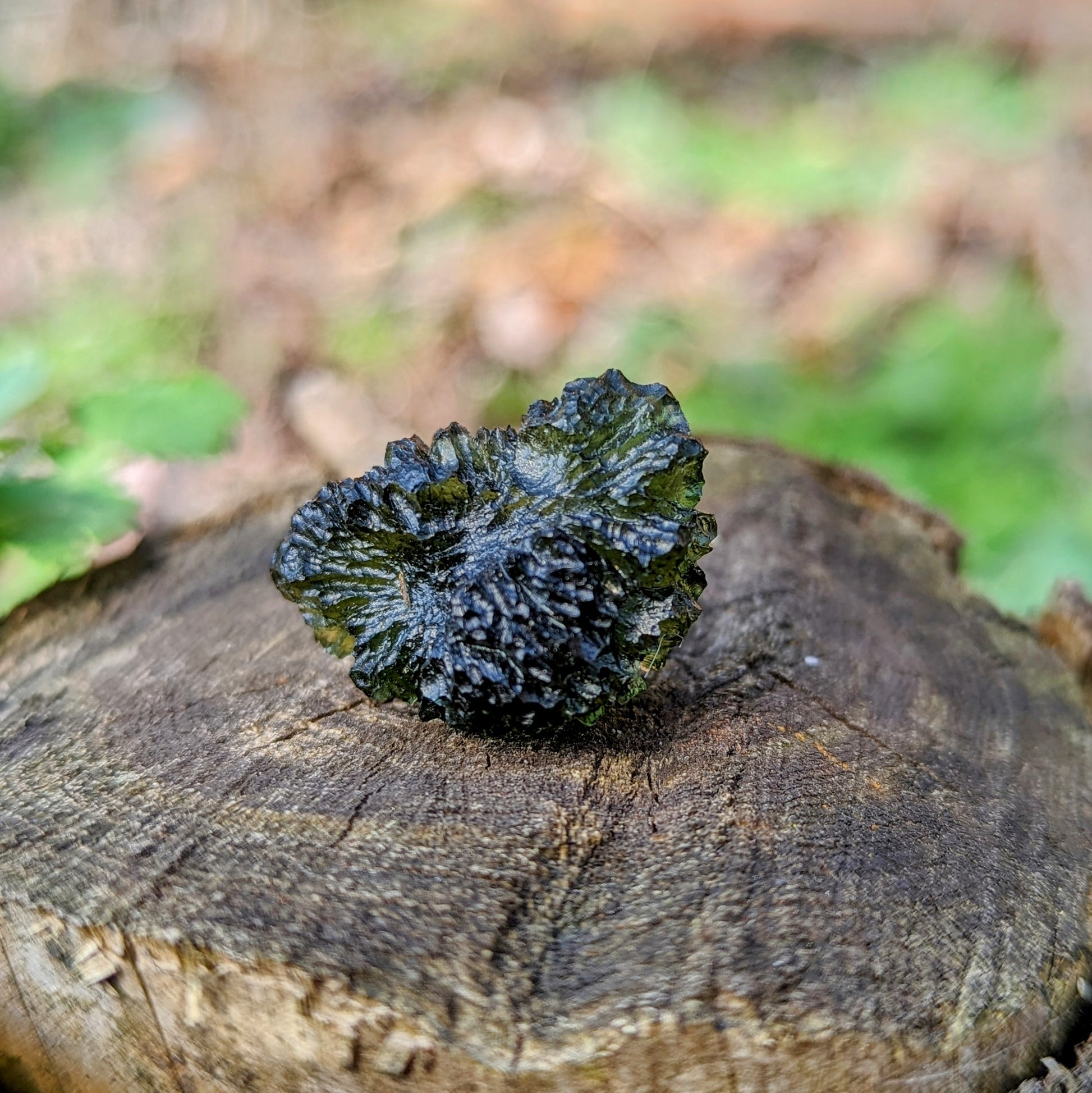 Genuine AAA Grade Moldavite Tektite Crystal~ Cosmic Energies~ Natural Moldavite - Earth Family Crystals