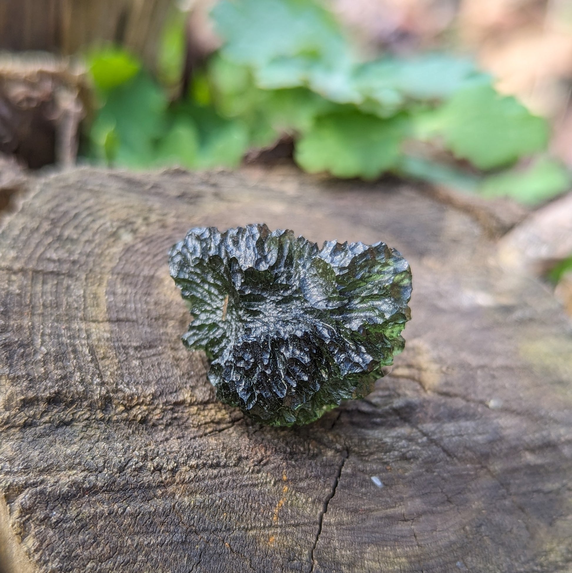 Genuine AAA Grade Moldavite Tektite Crystal~ Cosmic Energies~ Natural Moldavite - Earth Family Crystals