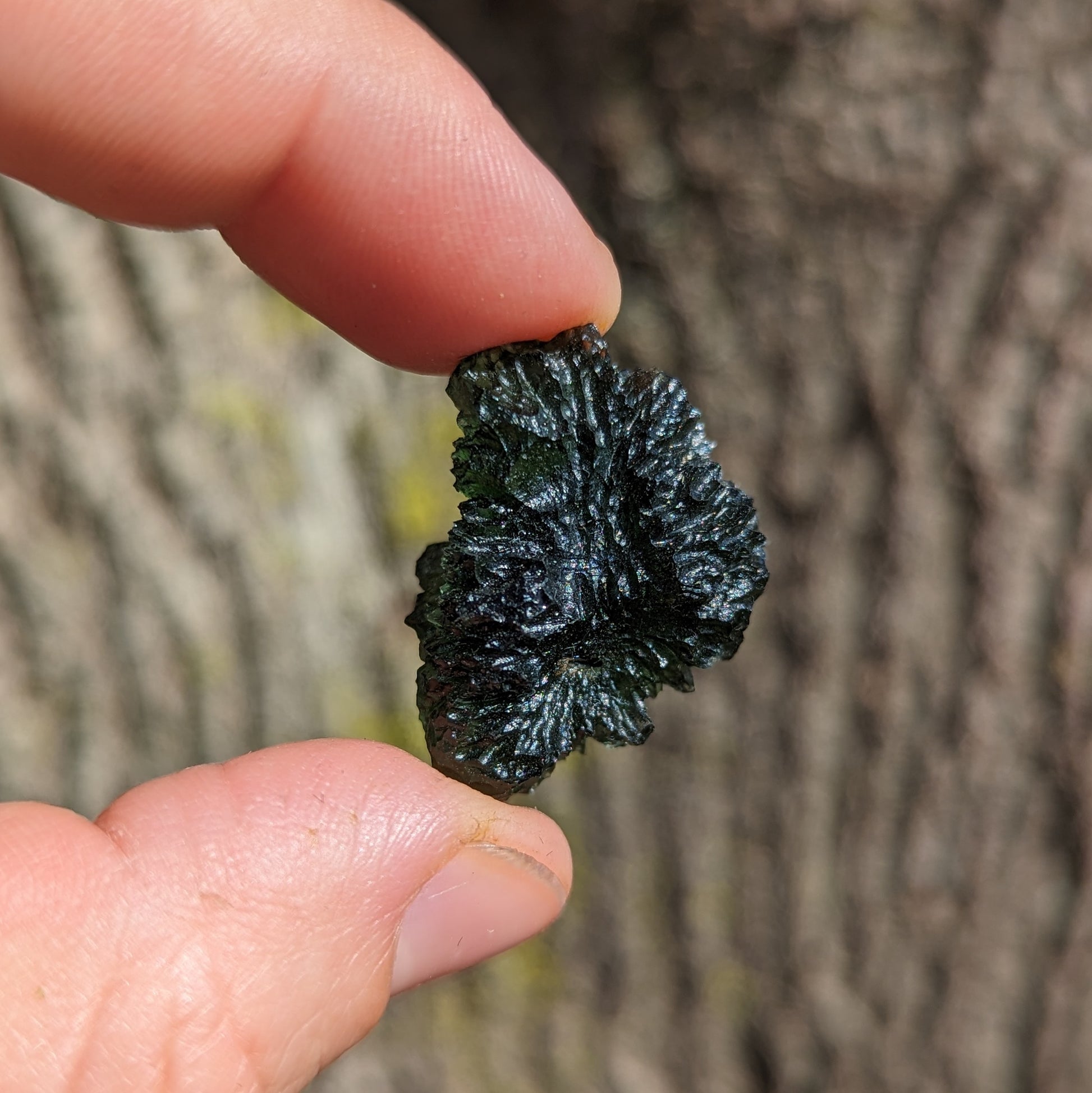 Genuine AAA Grade Moldavite Tektite Crystal~ Cosmic Energies~ Natural Moldavite - Earth Family Crystals